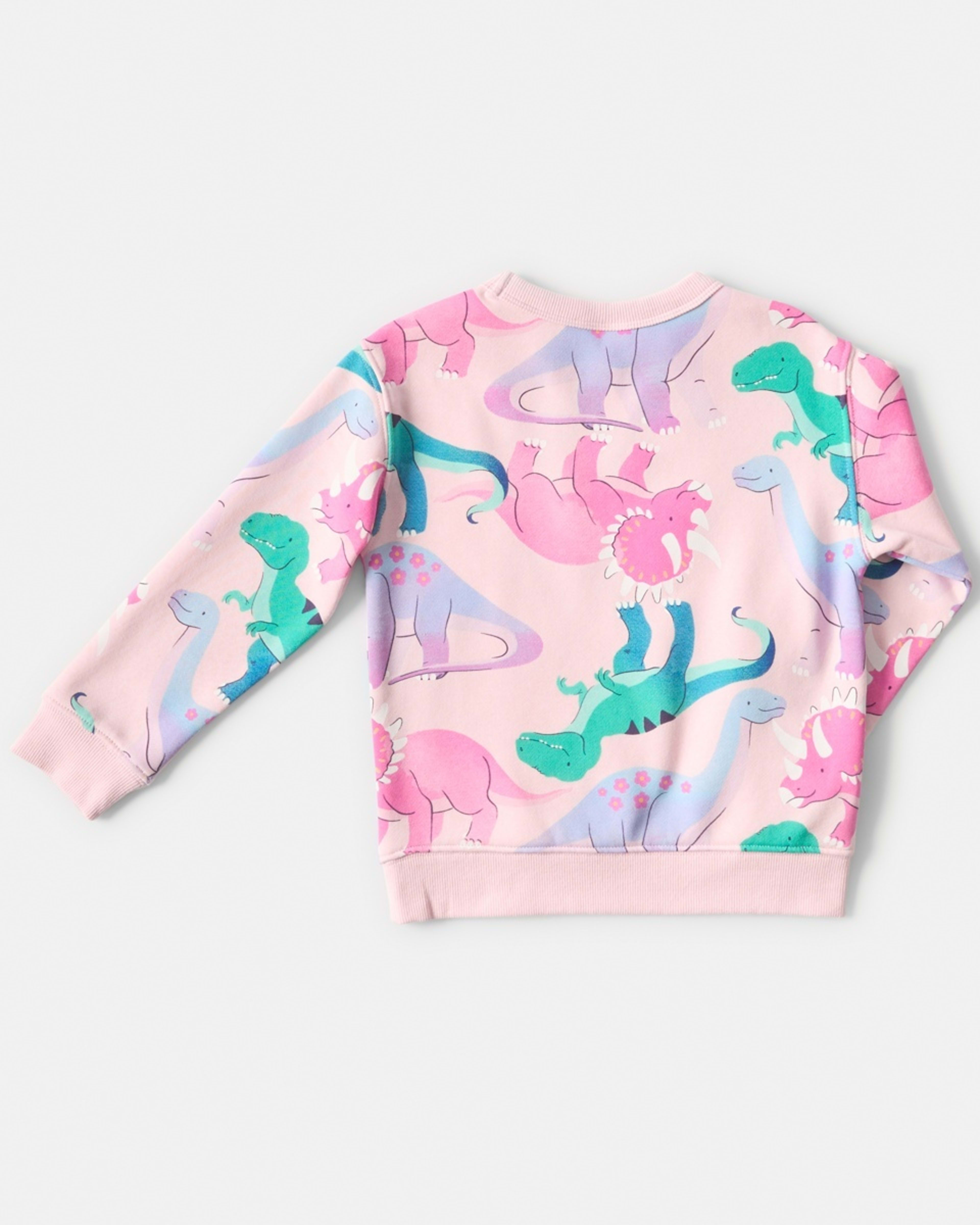 10 All Over Print Crew Neck Sweatshirt Joyful Dinos Fare Pink, 10 of 10