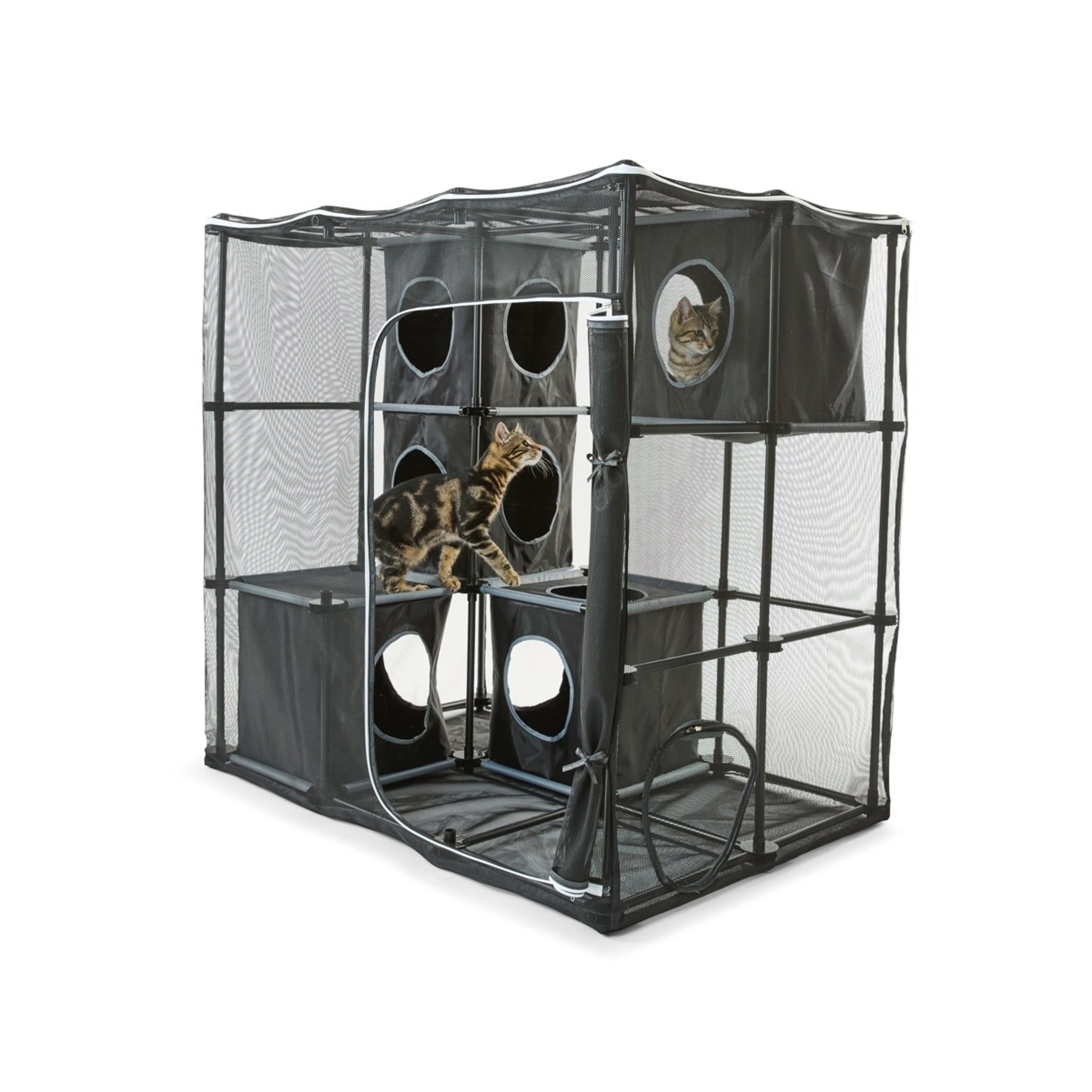 1 Cat Enclosure, 1 of 10