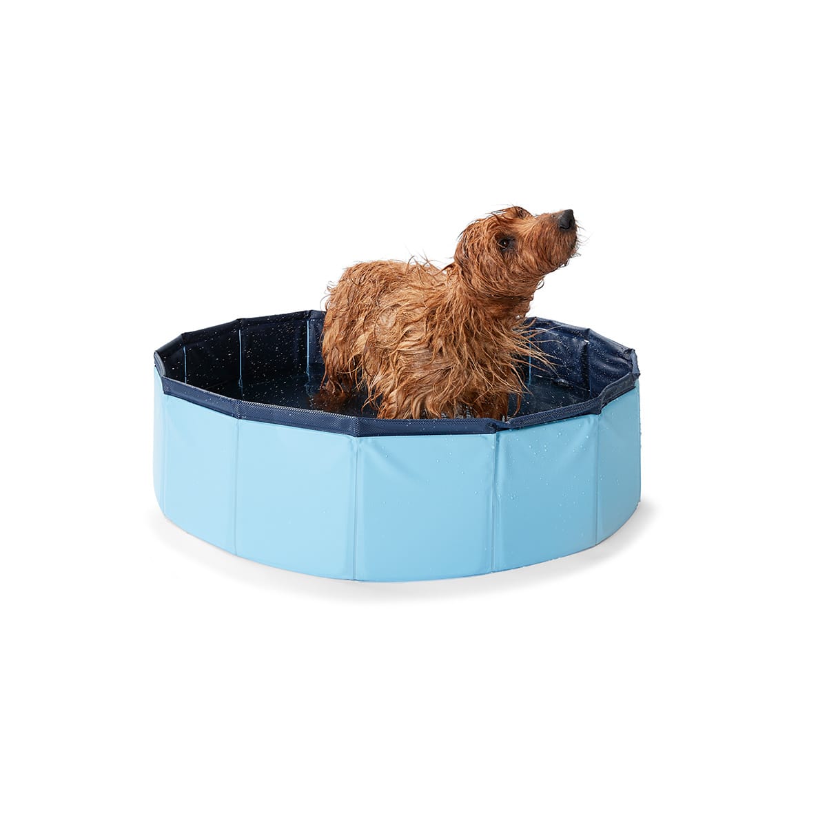 Dog sales pool kmart