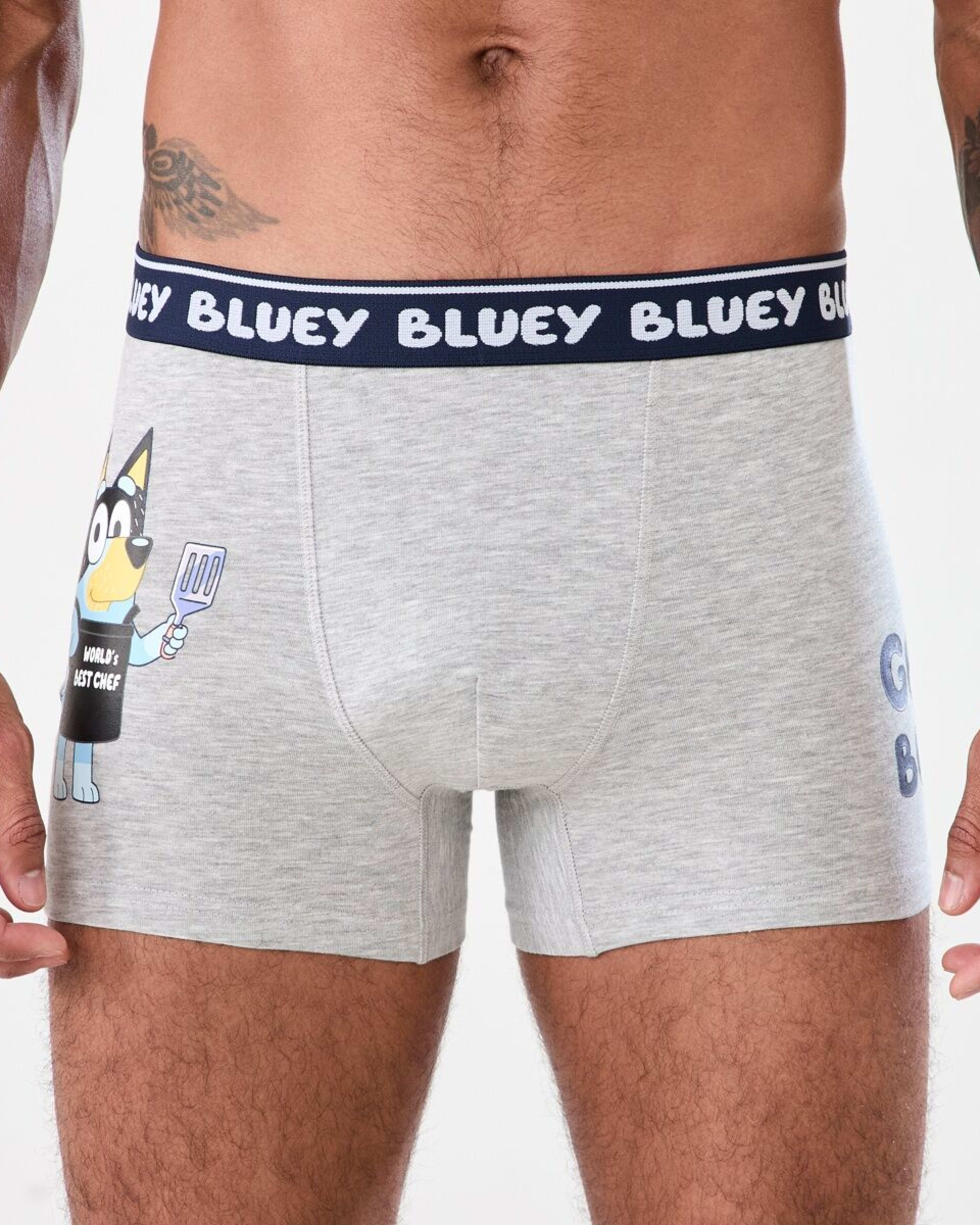 2 3 Pack Bluey License Trunks BLUEY TRUNKS, 2 of 8