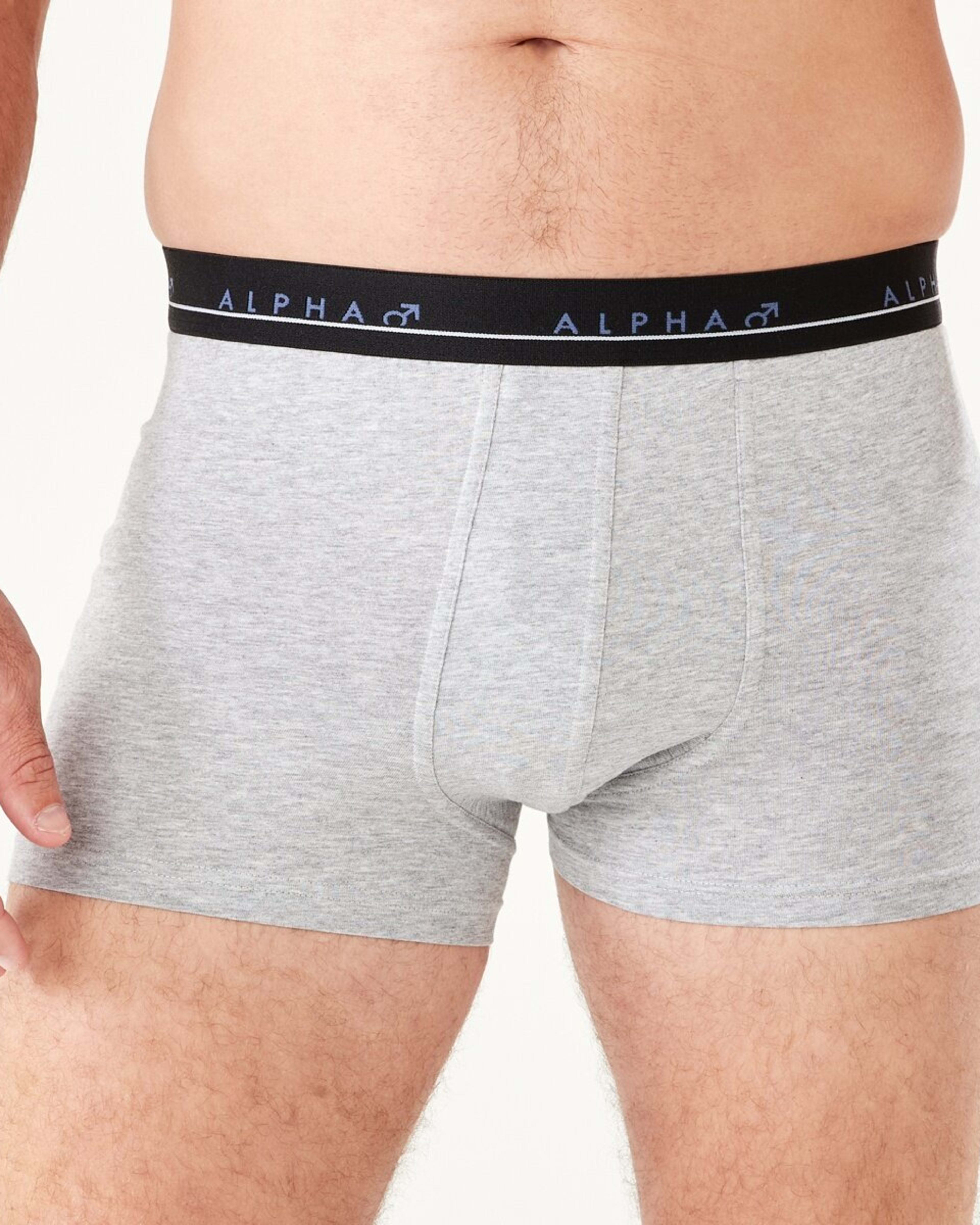 5 5 Pack Trunks BULL ICONS, 5 of 10