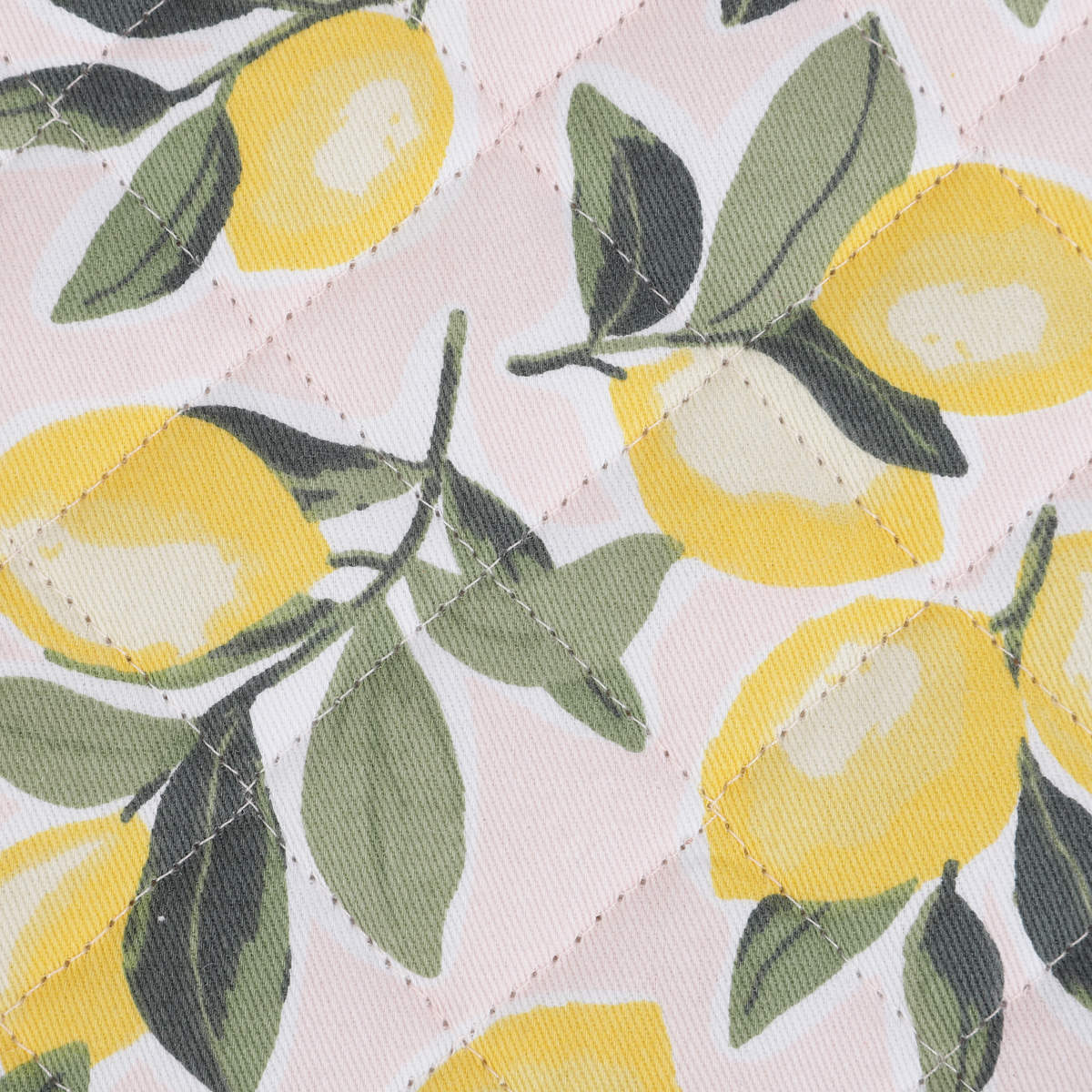 Lemons Pot Holder Kmart