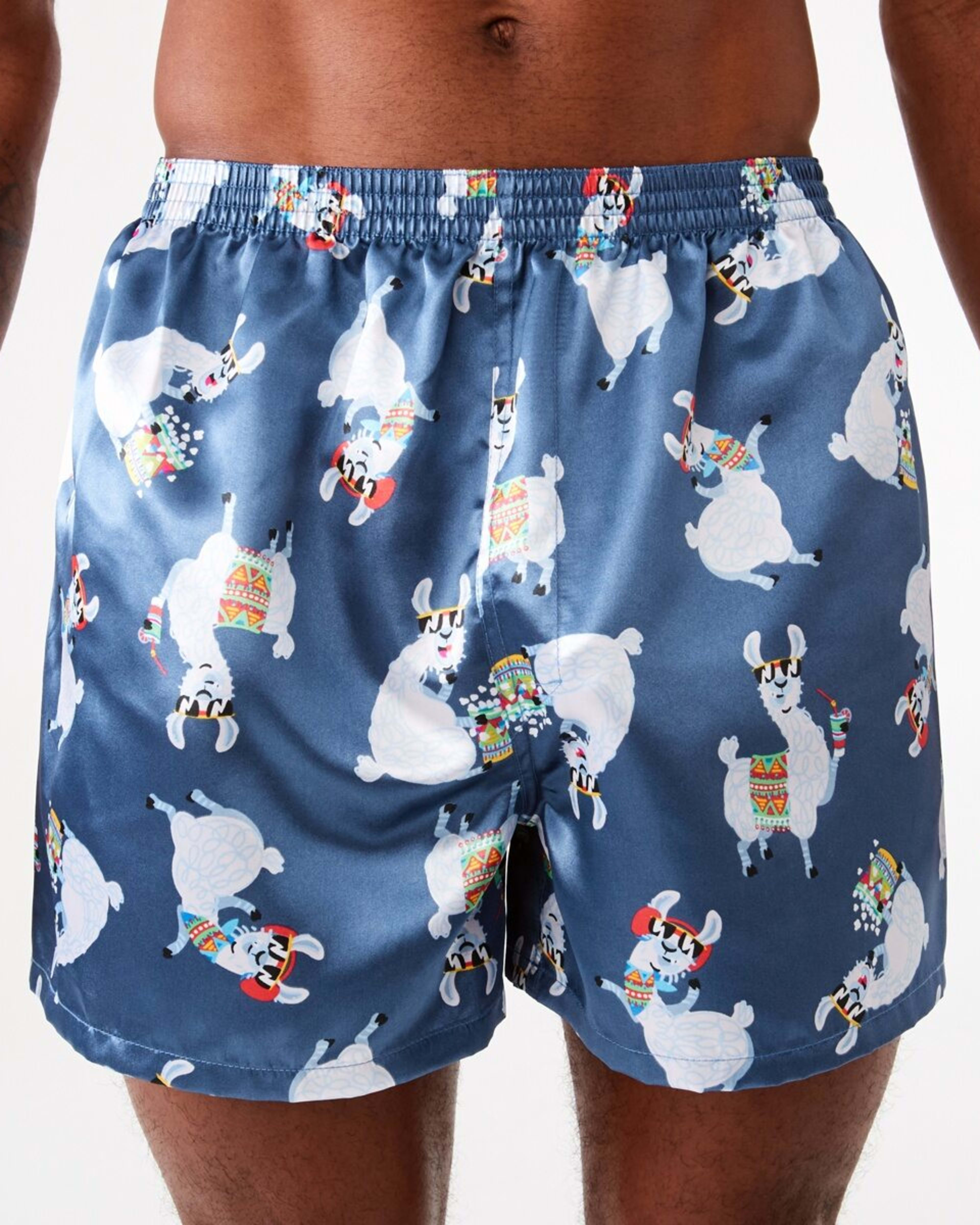 2 2 Pack Satin Boxers CRAZY LLAMA, 2 of 7