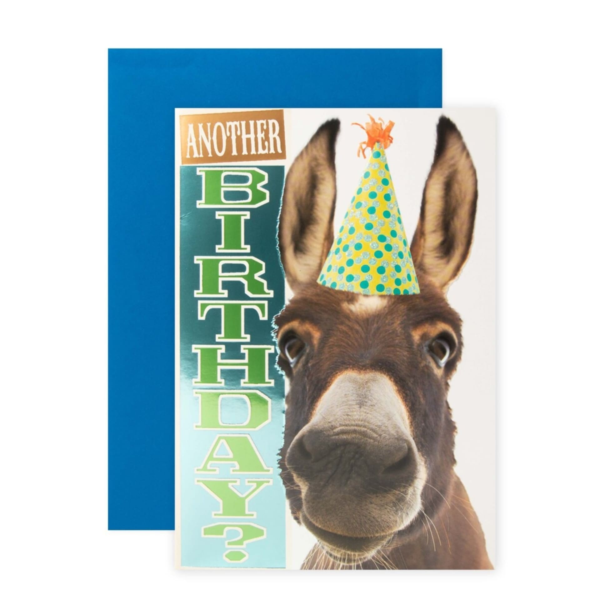 Connections from Hallmark Birthday Card Party Donkey Kmart