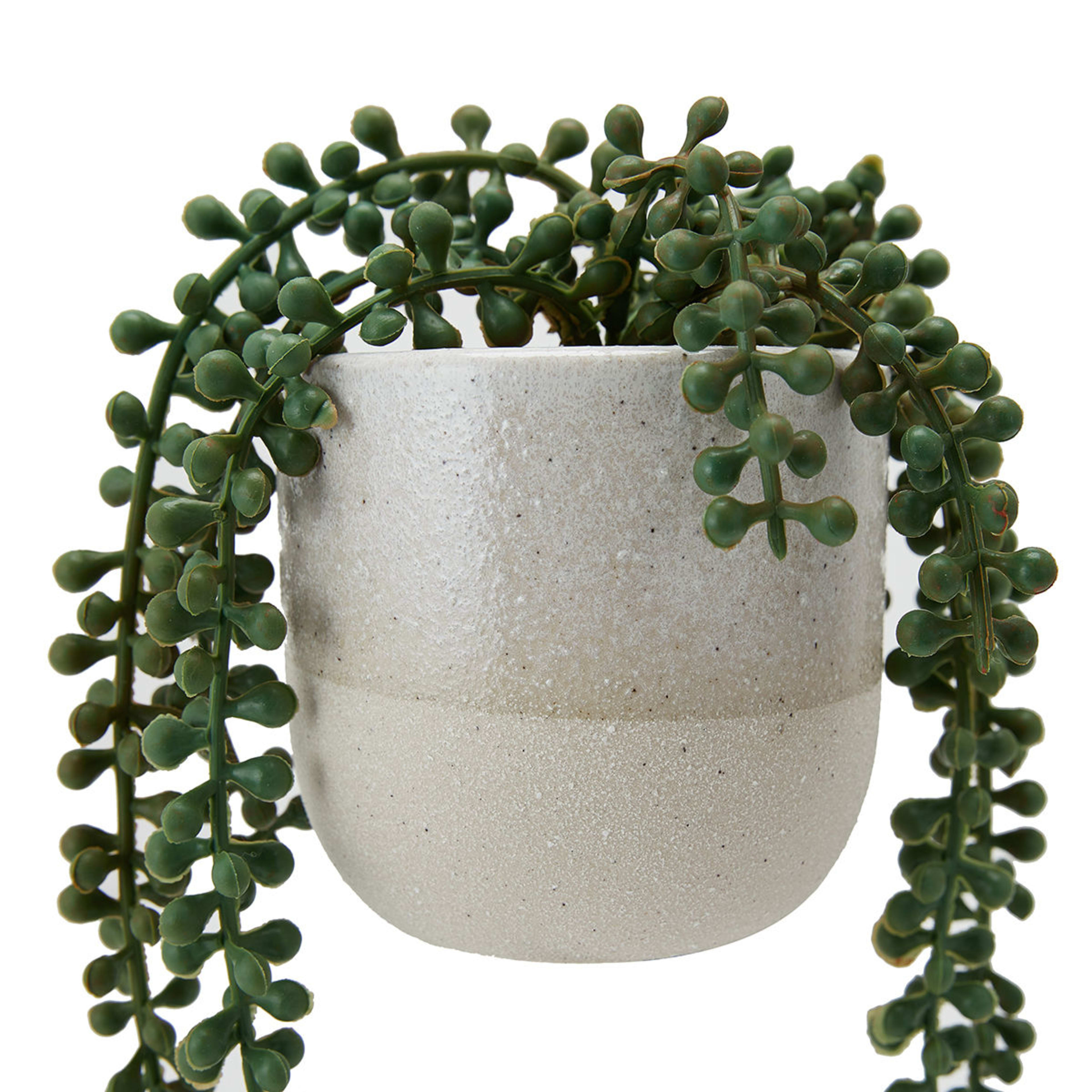 Artificial String of Pearls Plant in Pot Kmart
