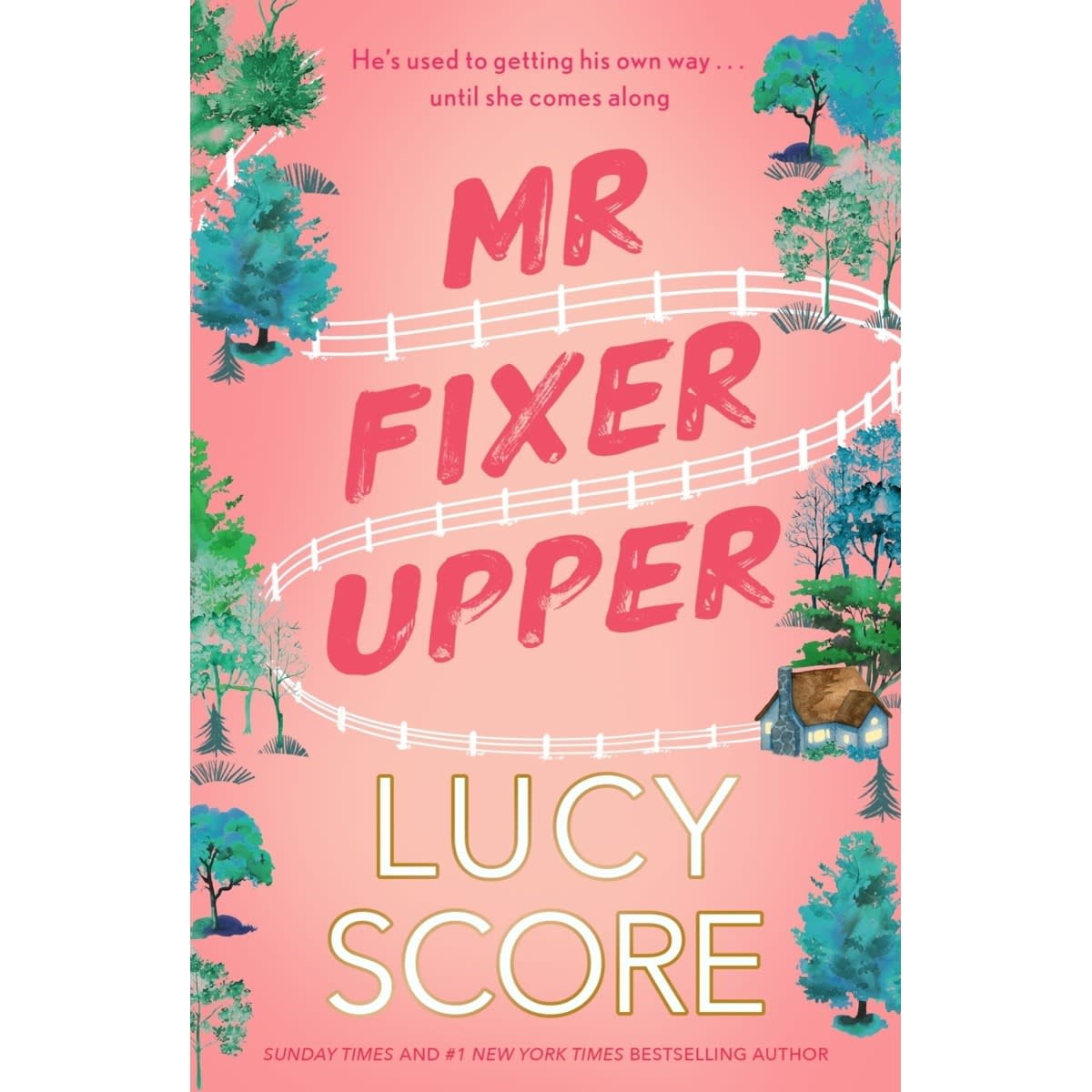 Mr Fixer Upper By Lucy Score - Book - Kmart