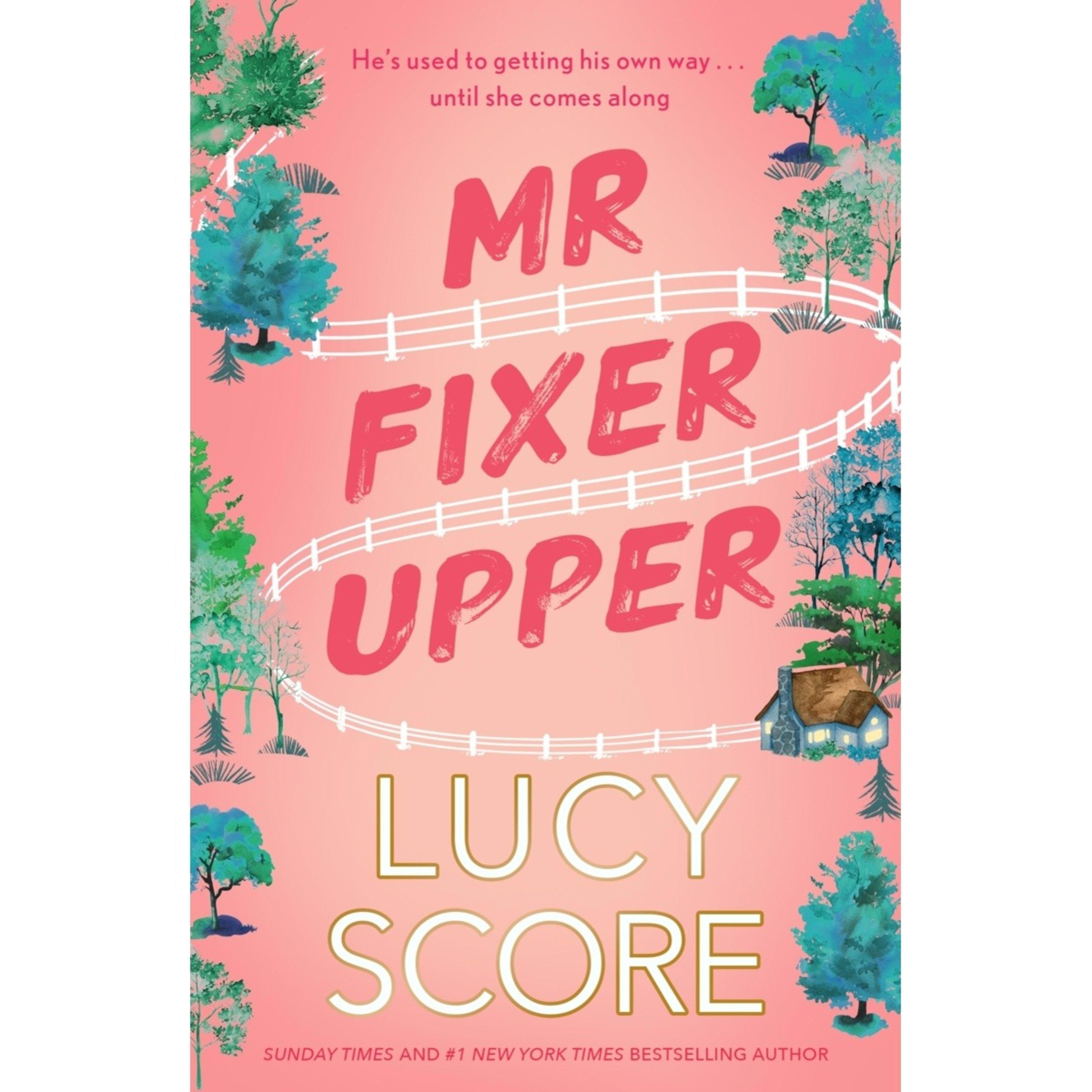 1 Mr Fixer Upper by Lucy Score - Book