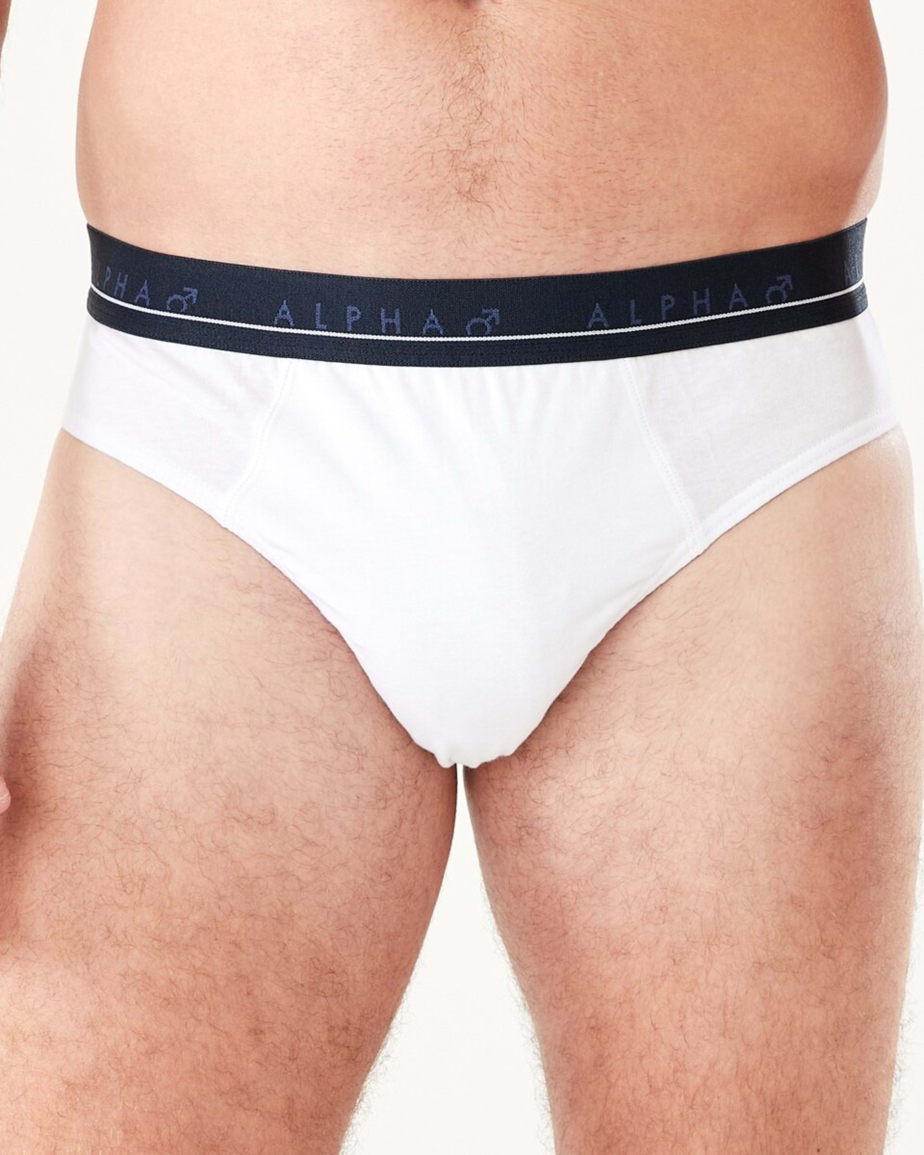 2 5 Pack Attached Elastic Hipster Briefs CLASSICAL, 2 of 10