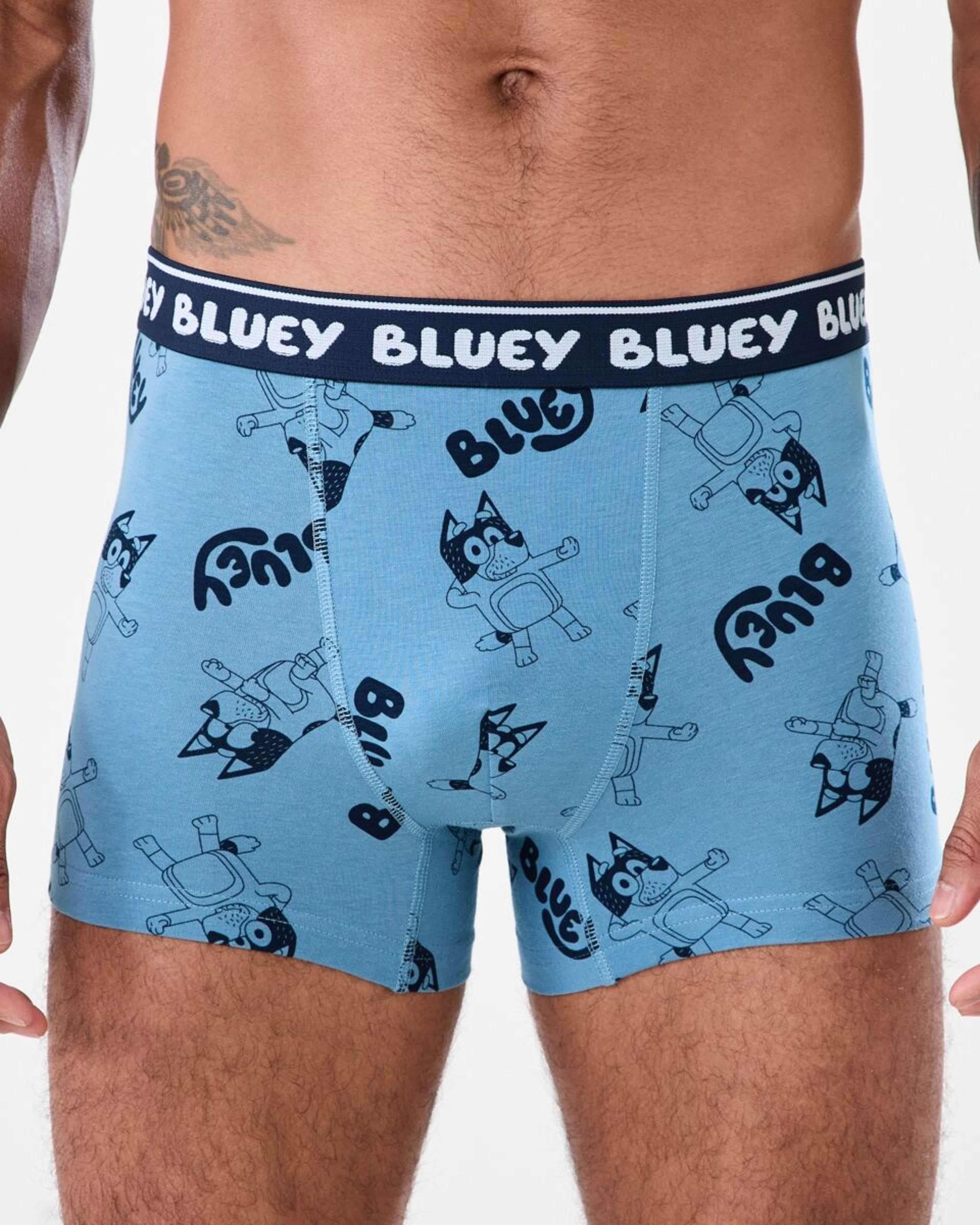 4 3 Pack Bluey License Trunks BLUEY TRUNKS, 4 of 8