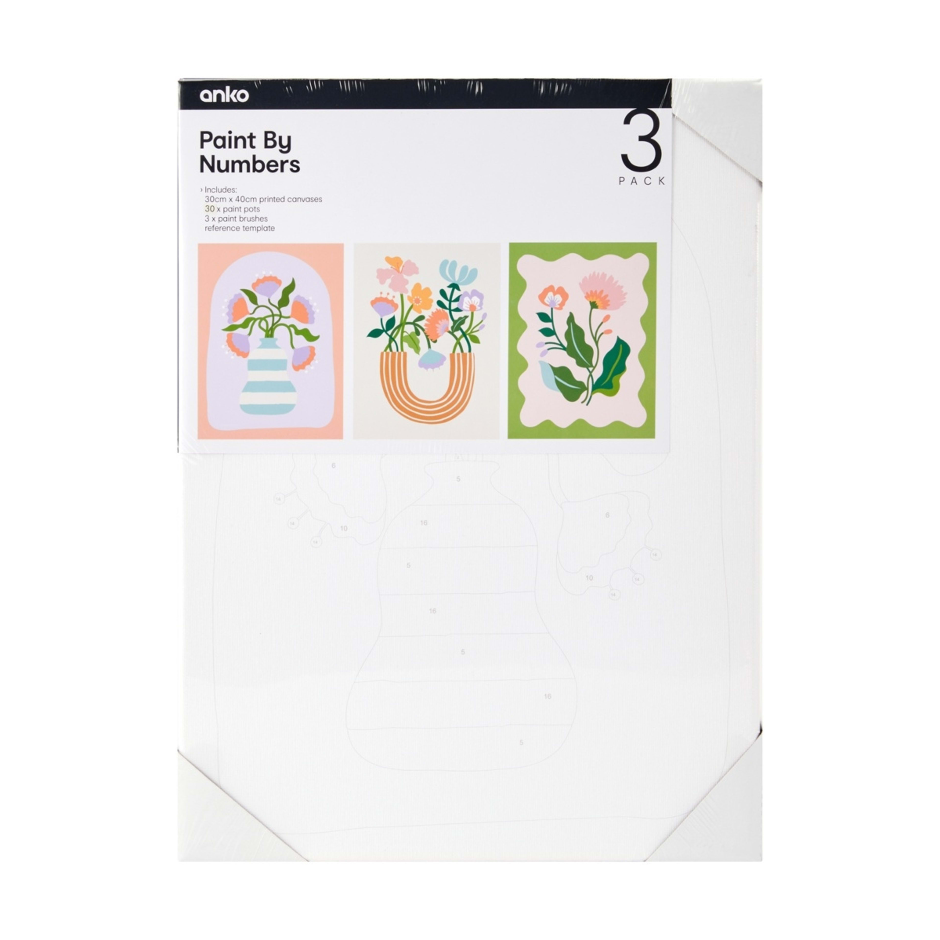 1 3 Pack Paint By Numbers - Bold Floral