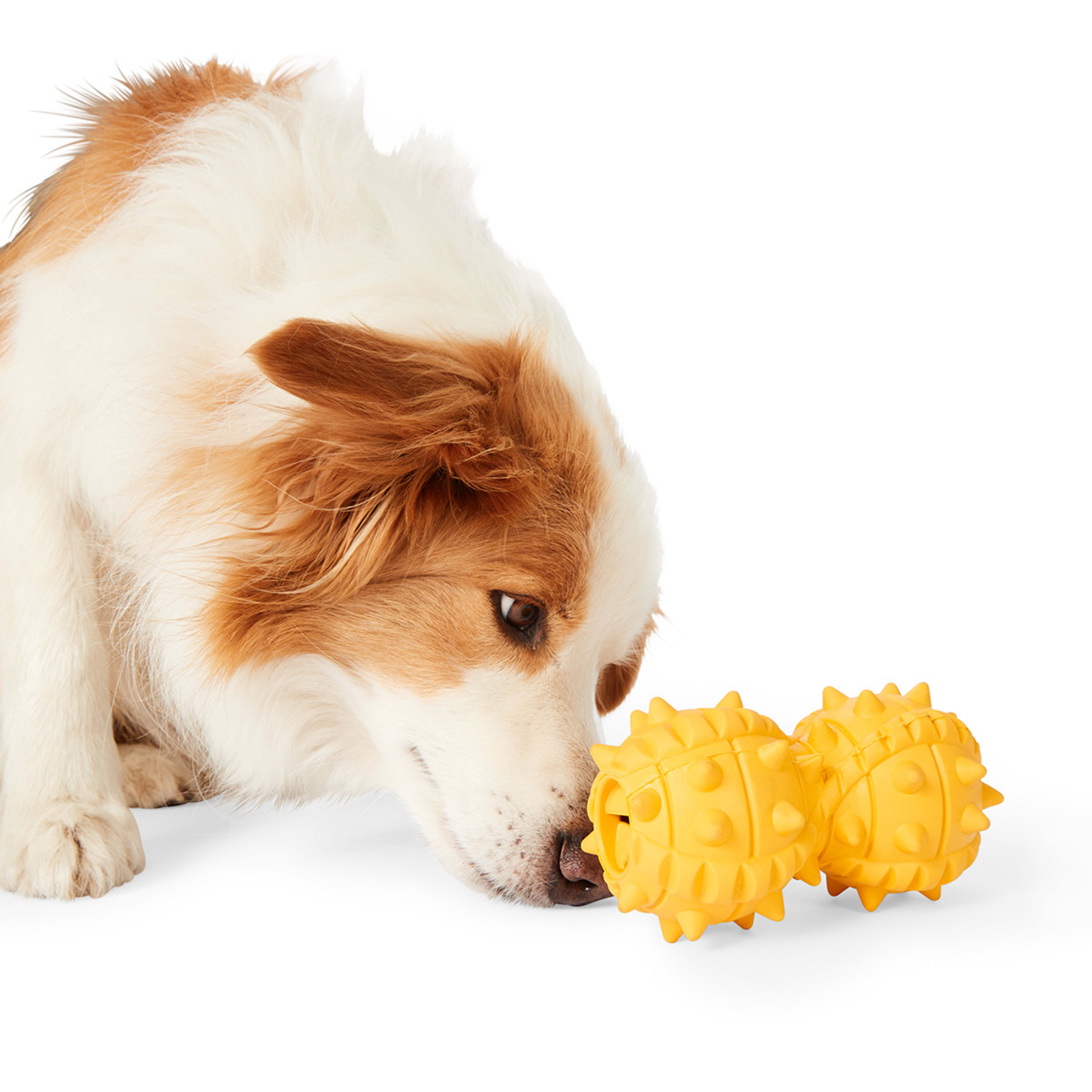 Pet Toy Chew Peanut Treater Kmart