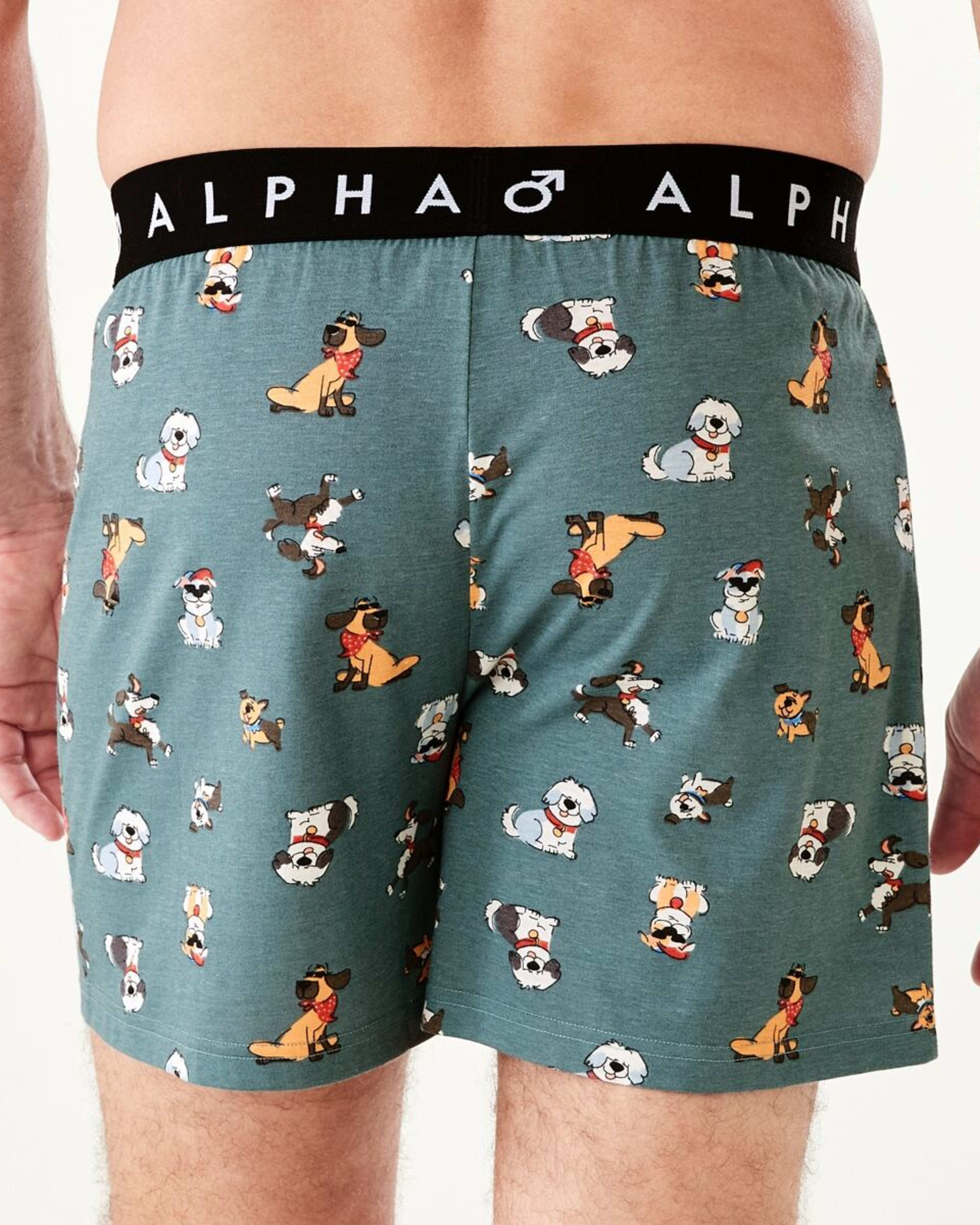 3 Printed Jersey Boxers DOGGOS, 3 of 6