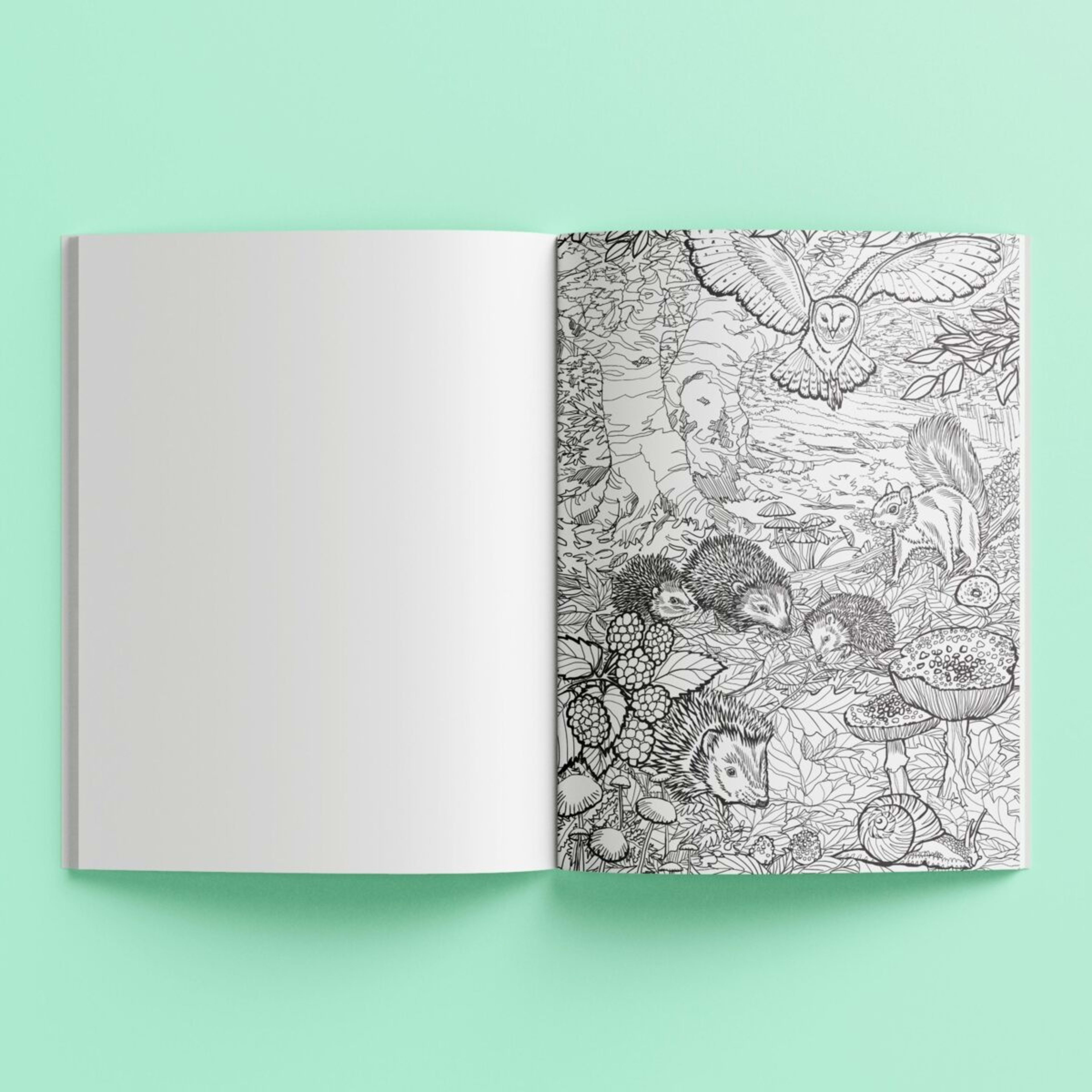 6 Kaleidoscope Ultimate Colouring Wild Nature Carry Case - Book, 6 of 7