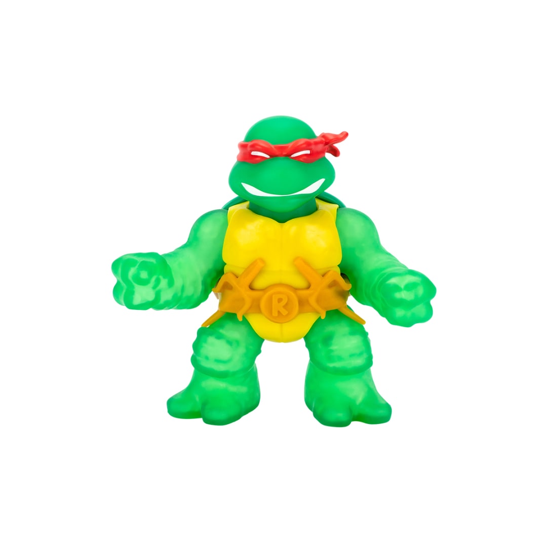 2 Pack Heroes of Goo Jit Zu Teenage Mutant Ninja Turtles Figures ...