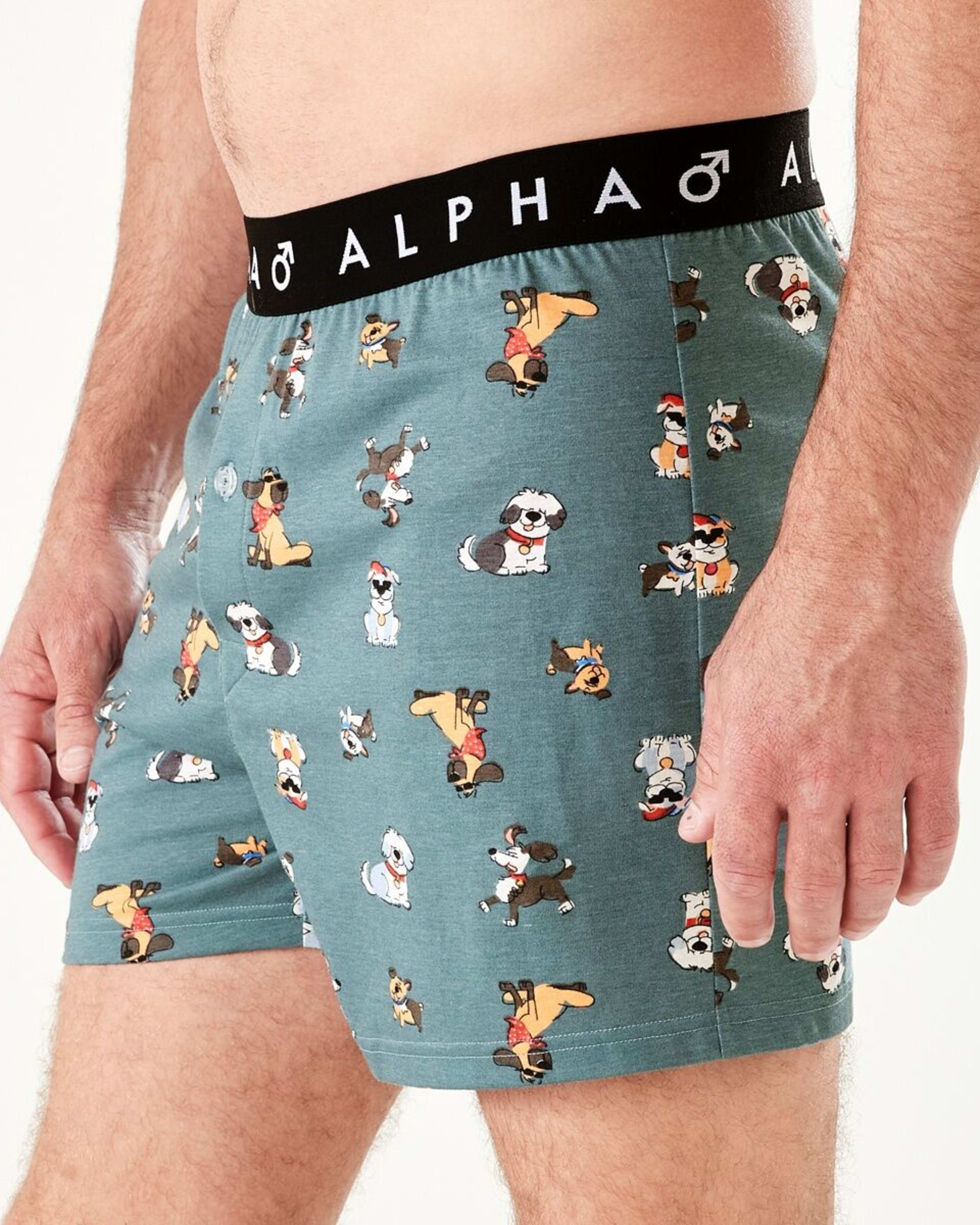 2 Printed Jersey Boxers DOGGOS, 2 of 6