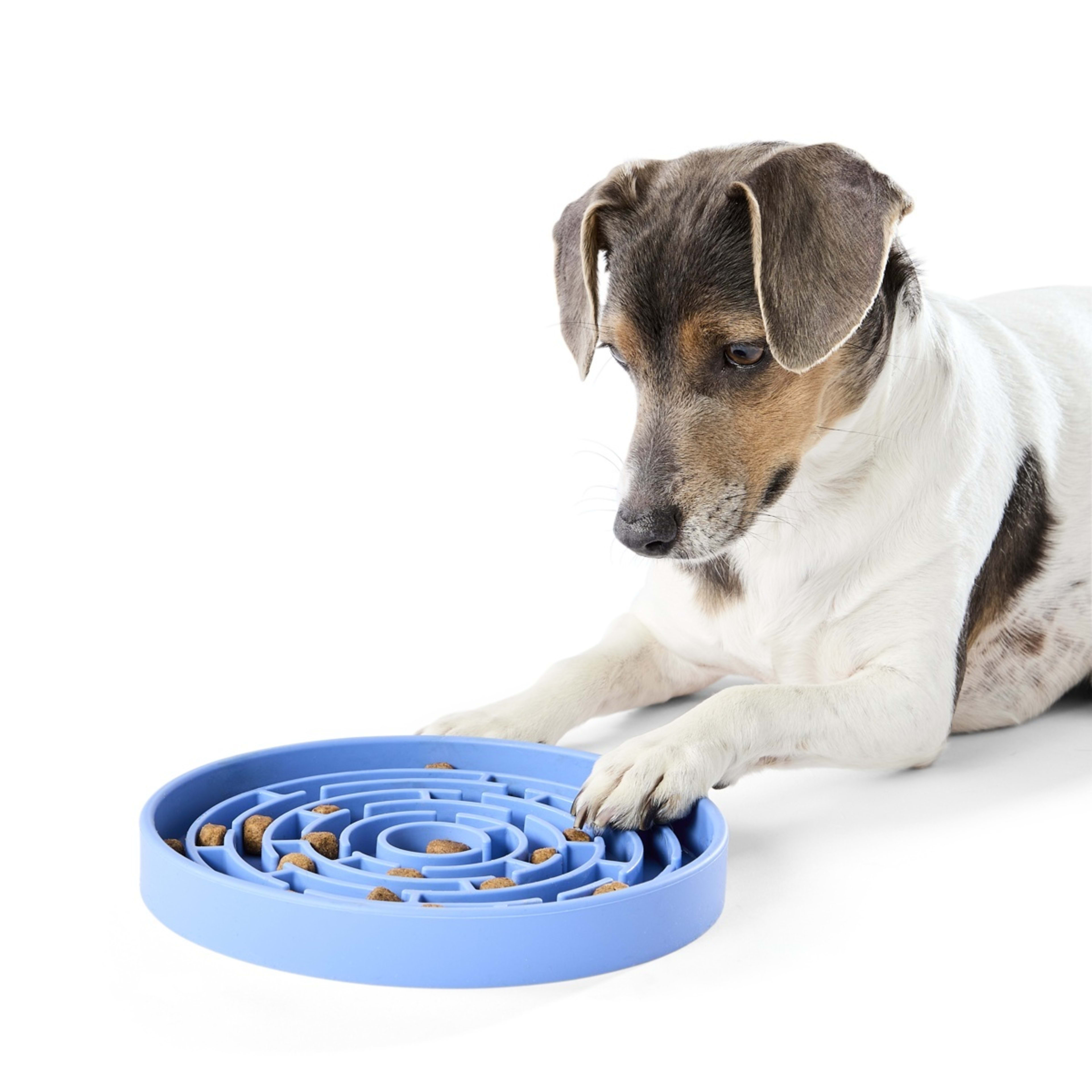1 Pet Silicone Feeding Plate - Blue