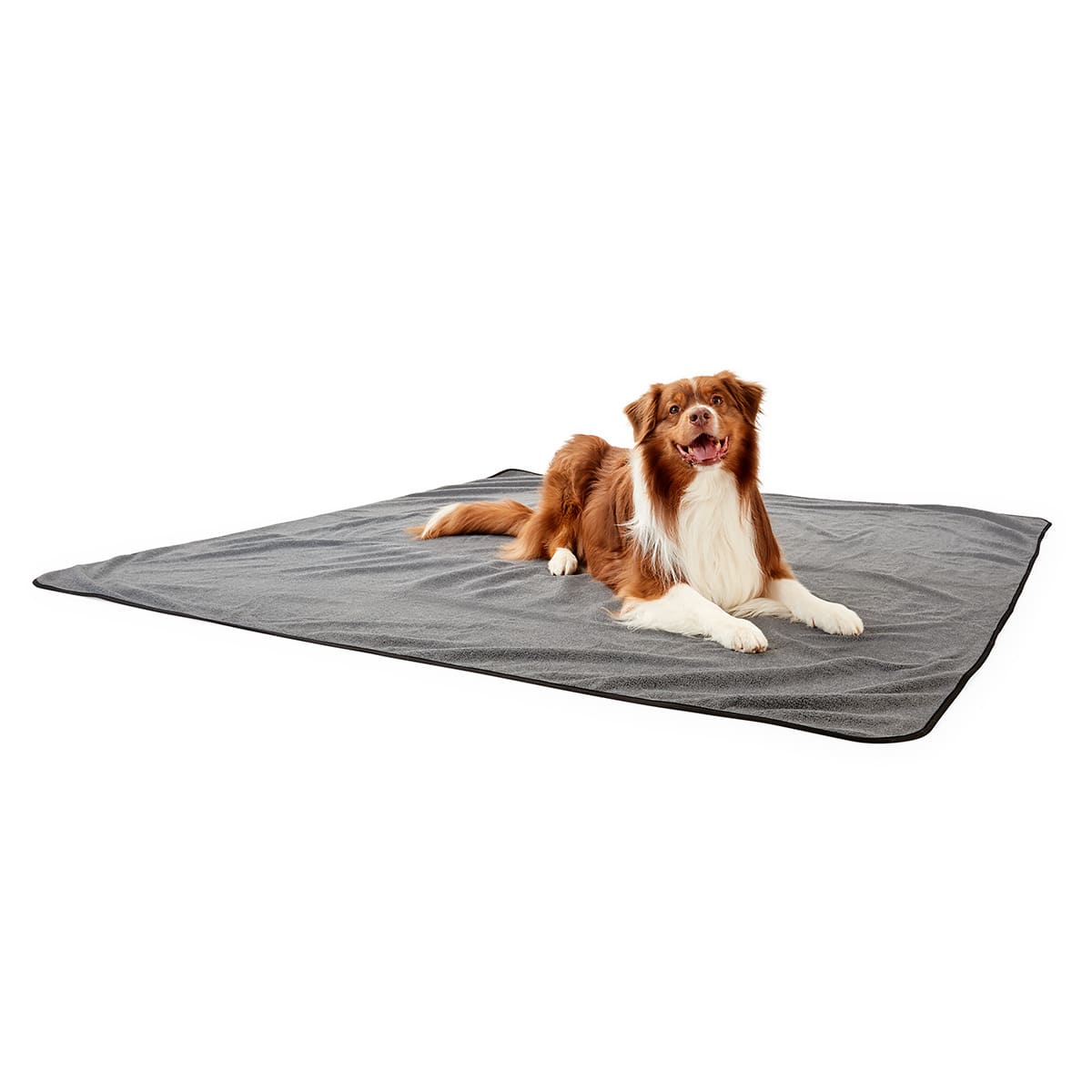 Kmart pet outlet blanket