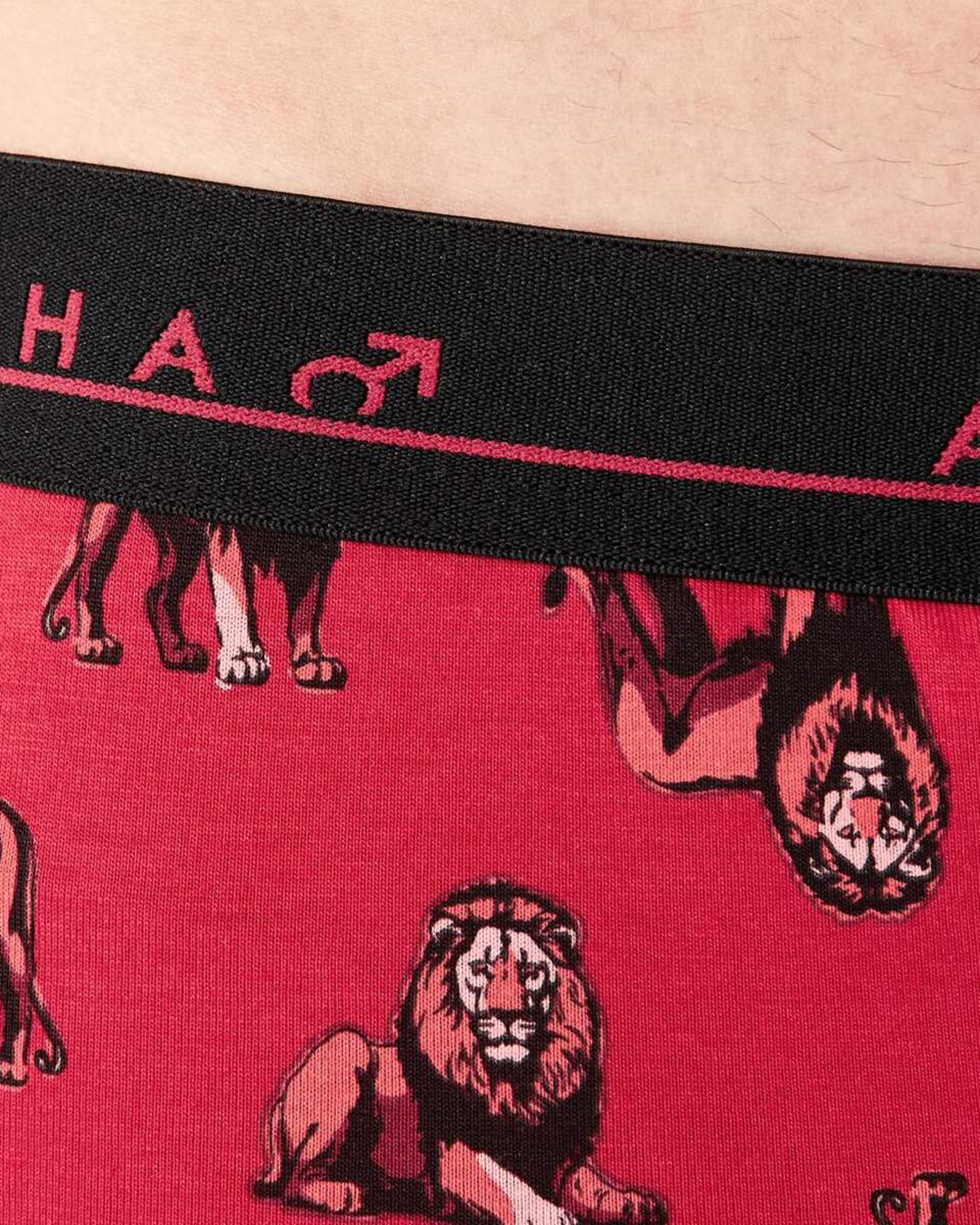 9 5 Pack Trunks BIG JUNGLE ANIMALS, 9 of 10