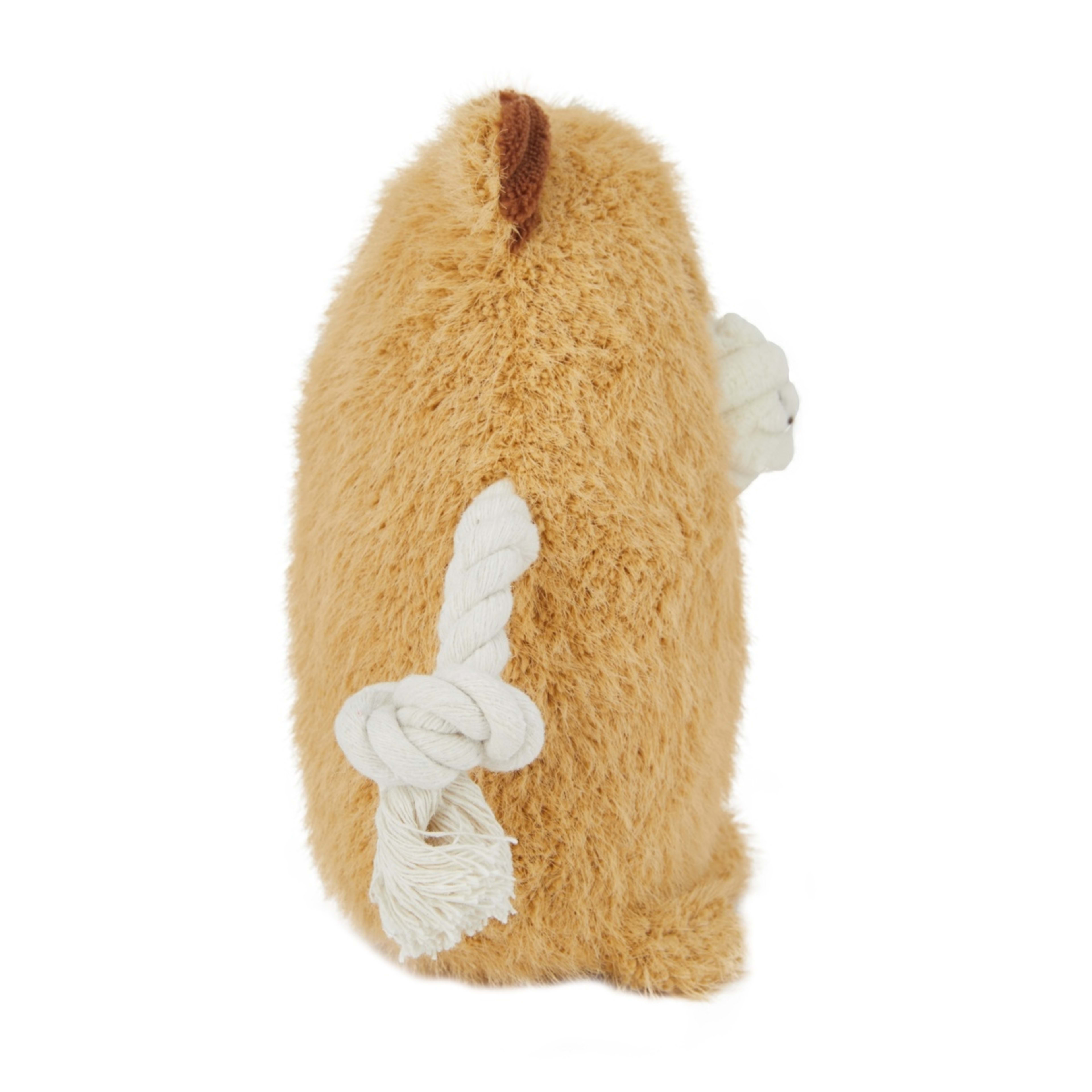 3 Pet Toy Super Soft Plush - Teddy, 3 of 7