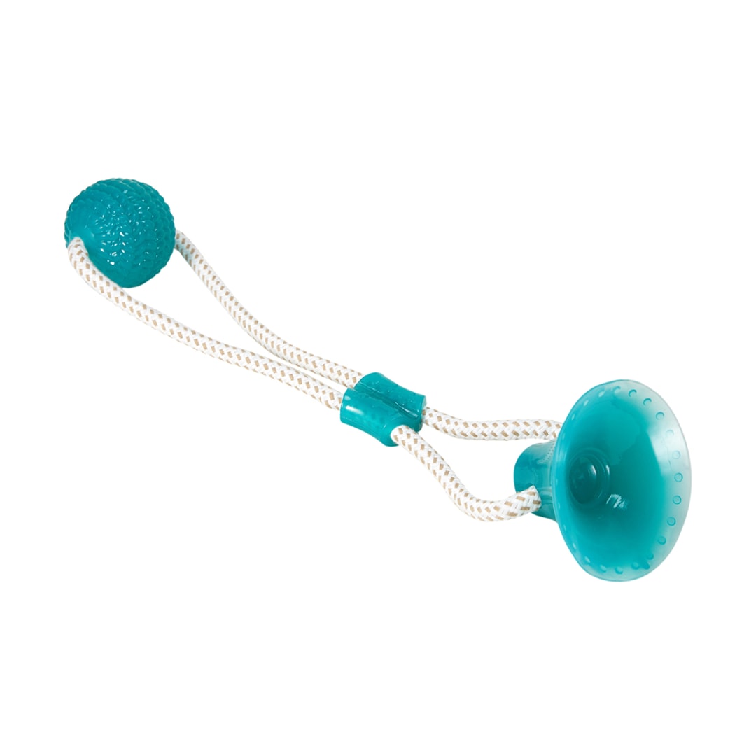 Pet Toy Floor Tug Kmart