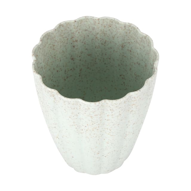 6 Pack Scalloped Wheatgrain Cups Kmart