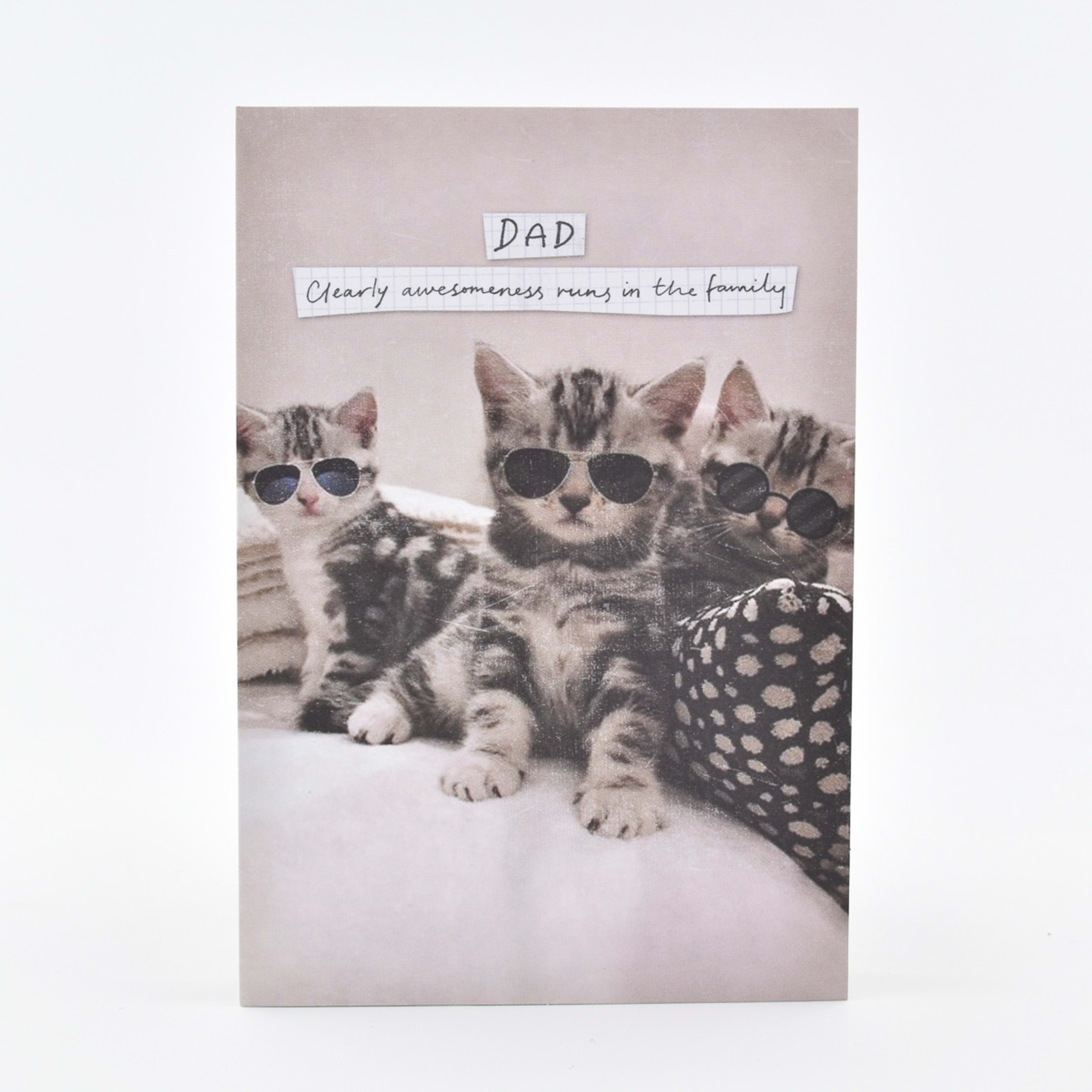 1 Hallmark Birthday Card For Dad - Kittens