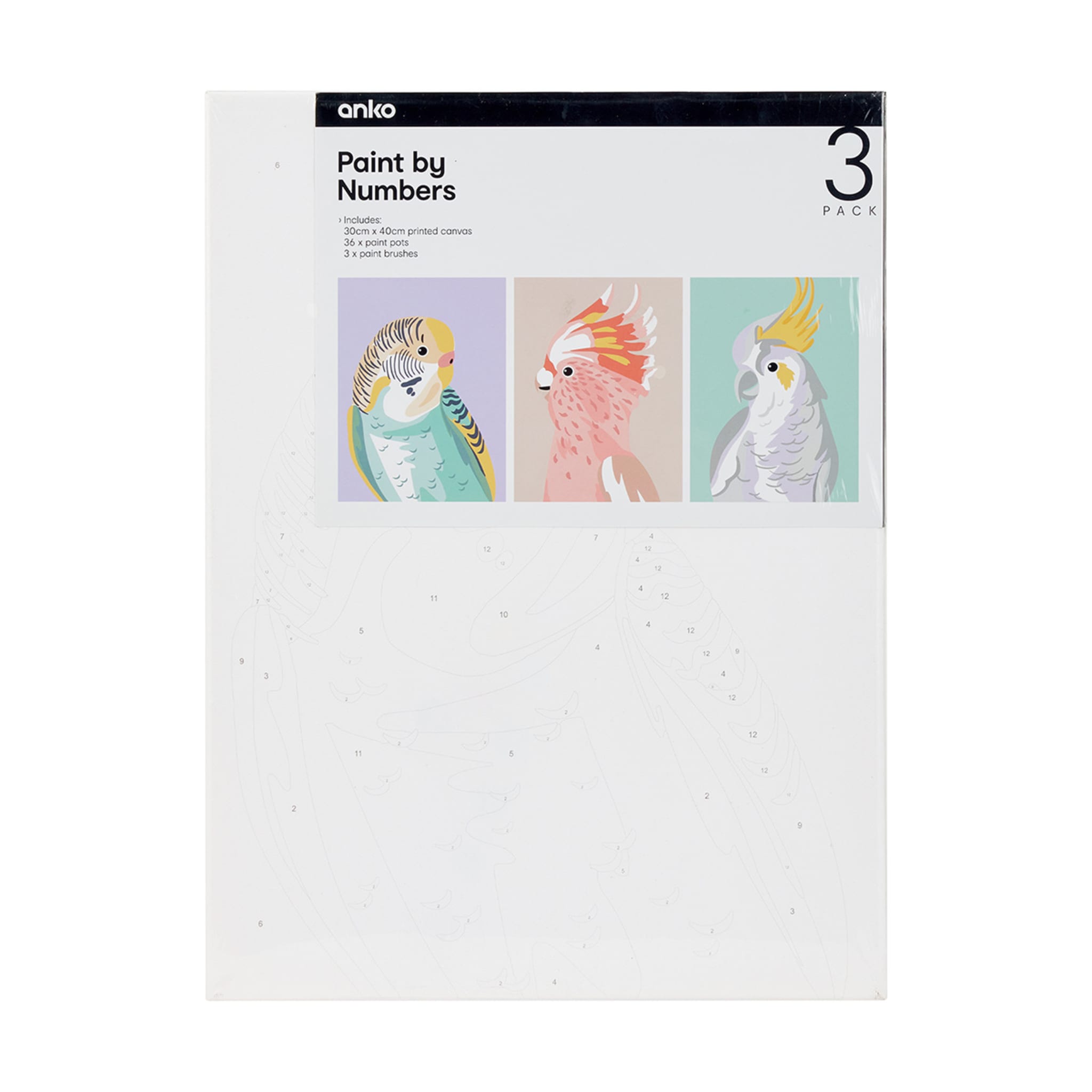 3 Pack Paint by Numbers Birds Kmart