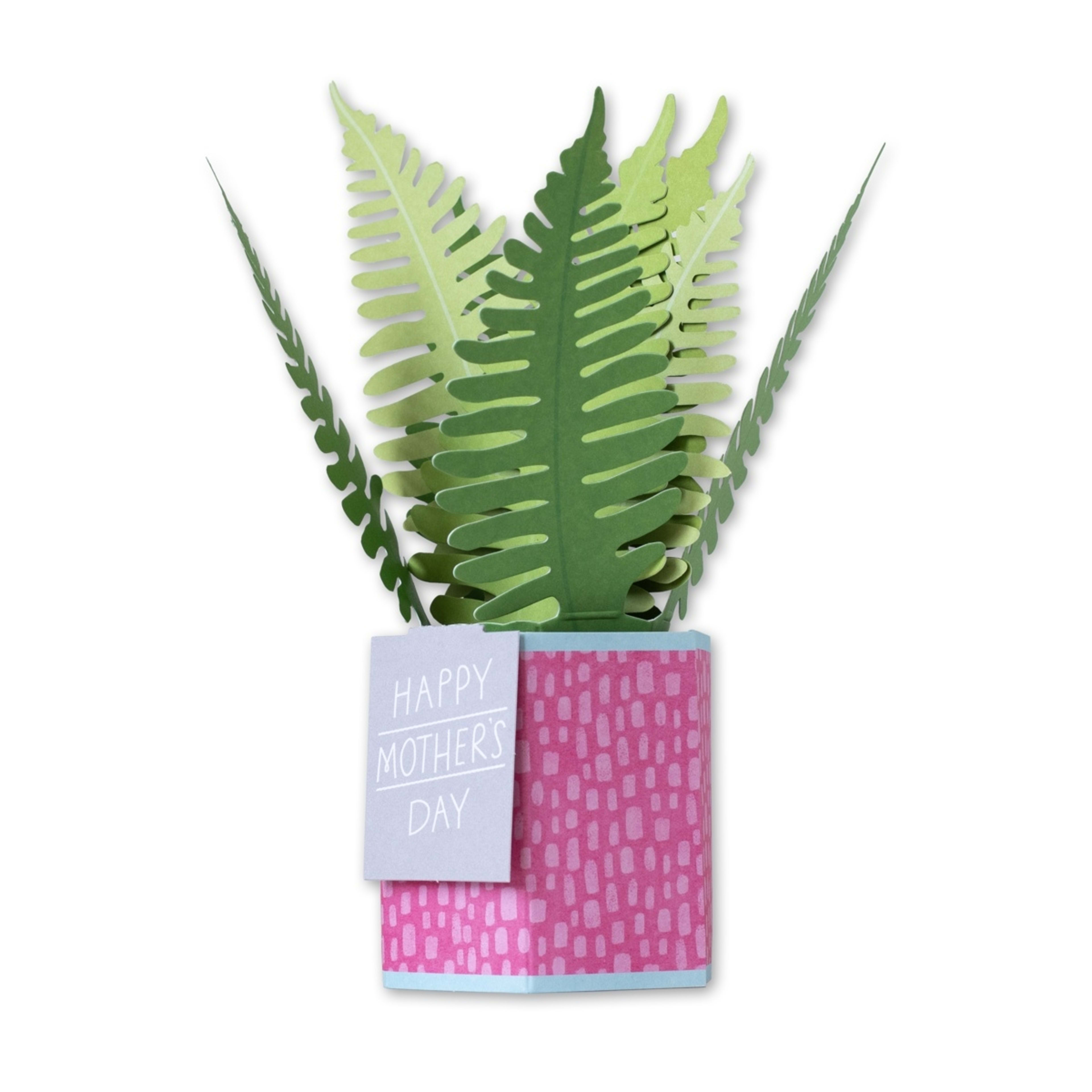 2 Hallmark Mother's Day Card - Paper Wonder Pop-Up Happy Mother's Day, 2 of 3