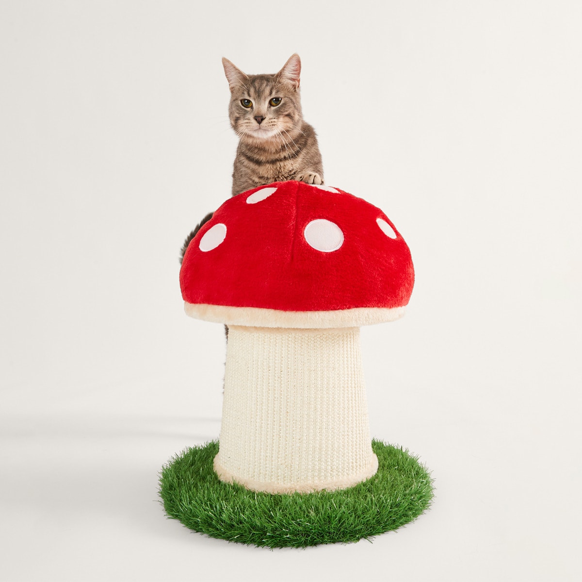 Cat Scratcher Mushroom Kmart