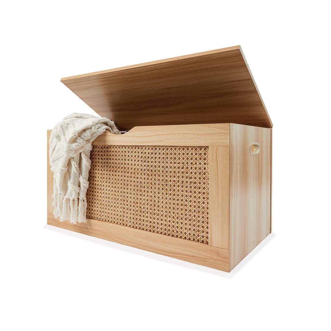 Rattan Storage Trunk Kmart