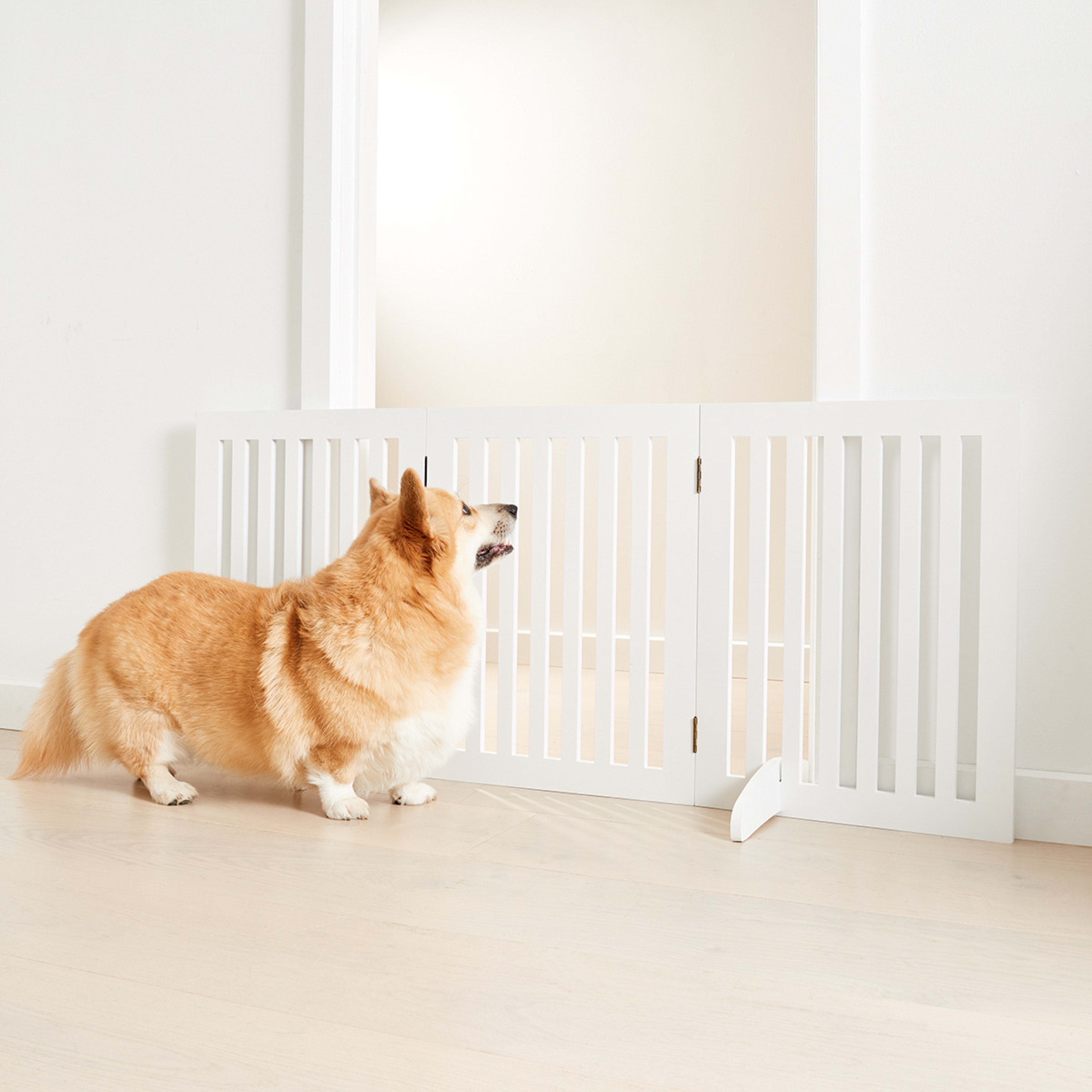 1 Pet Barrier 3 Section