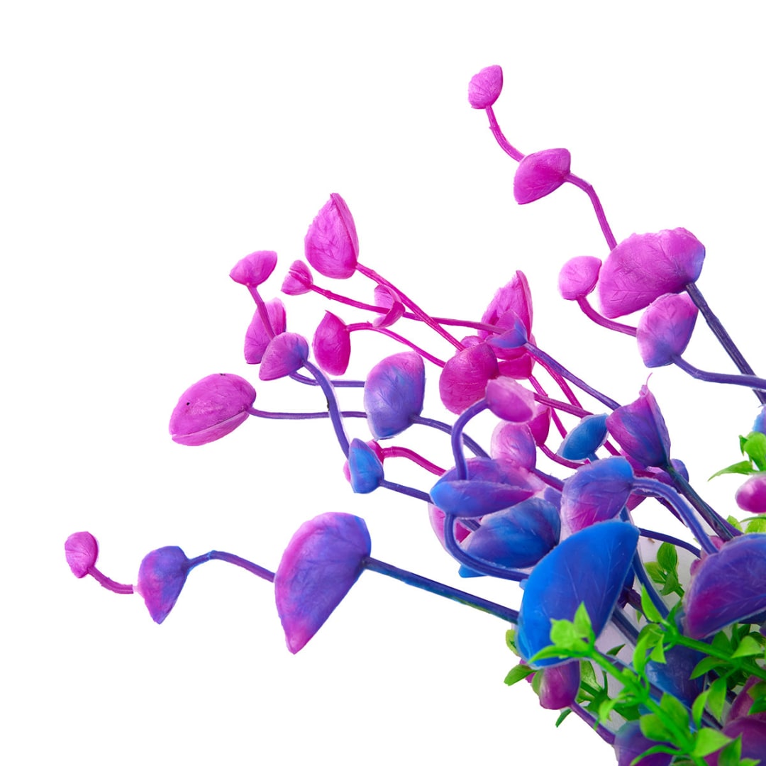 2 Pack Aquarium Plants Bright Kmart