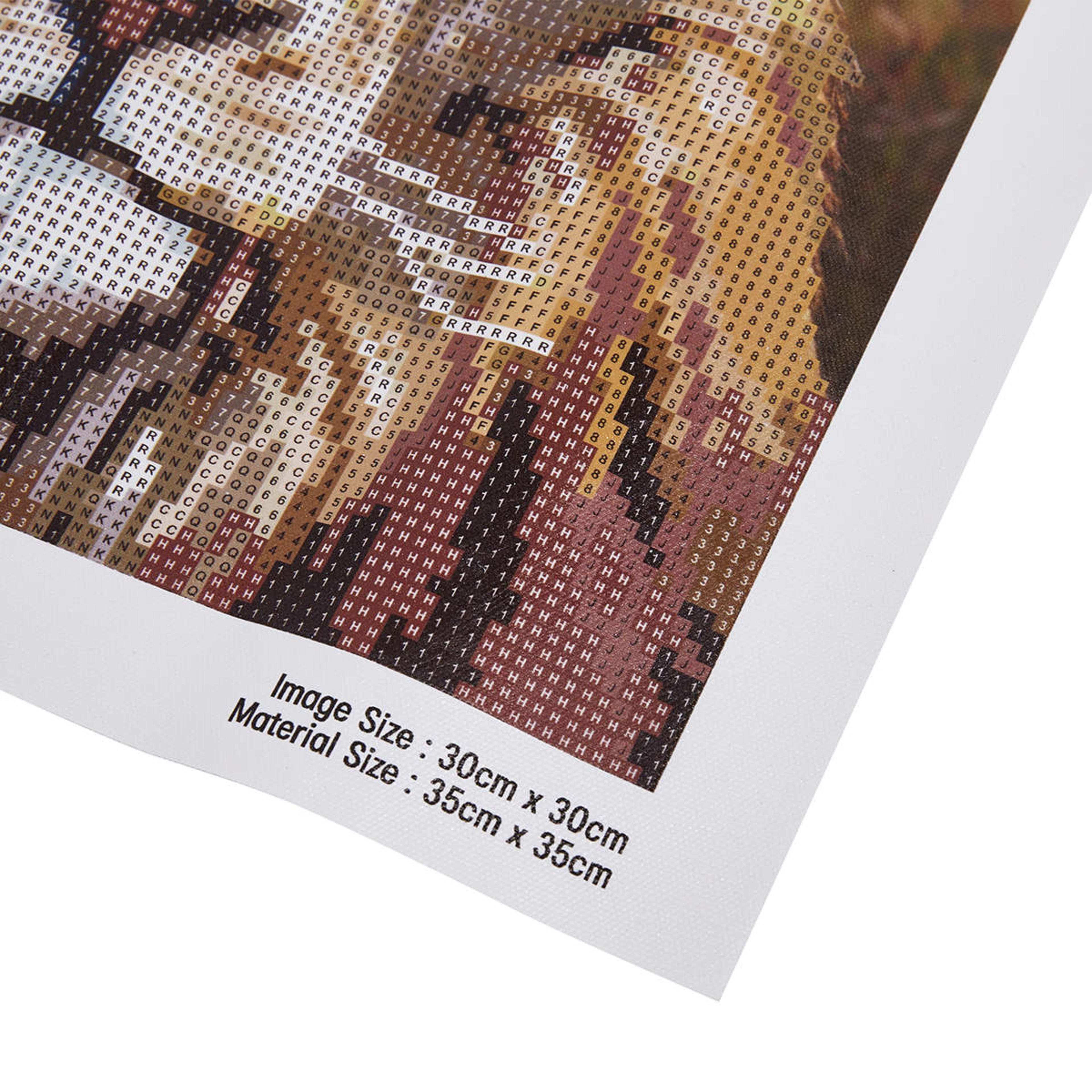 Sparkle Gem Art Lion Kmart