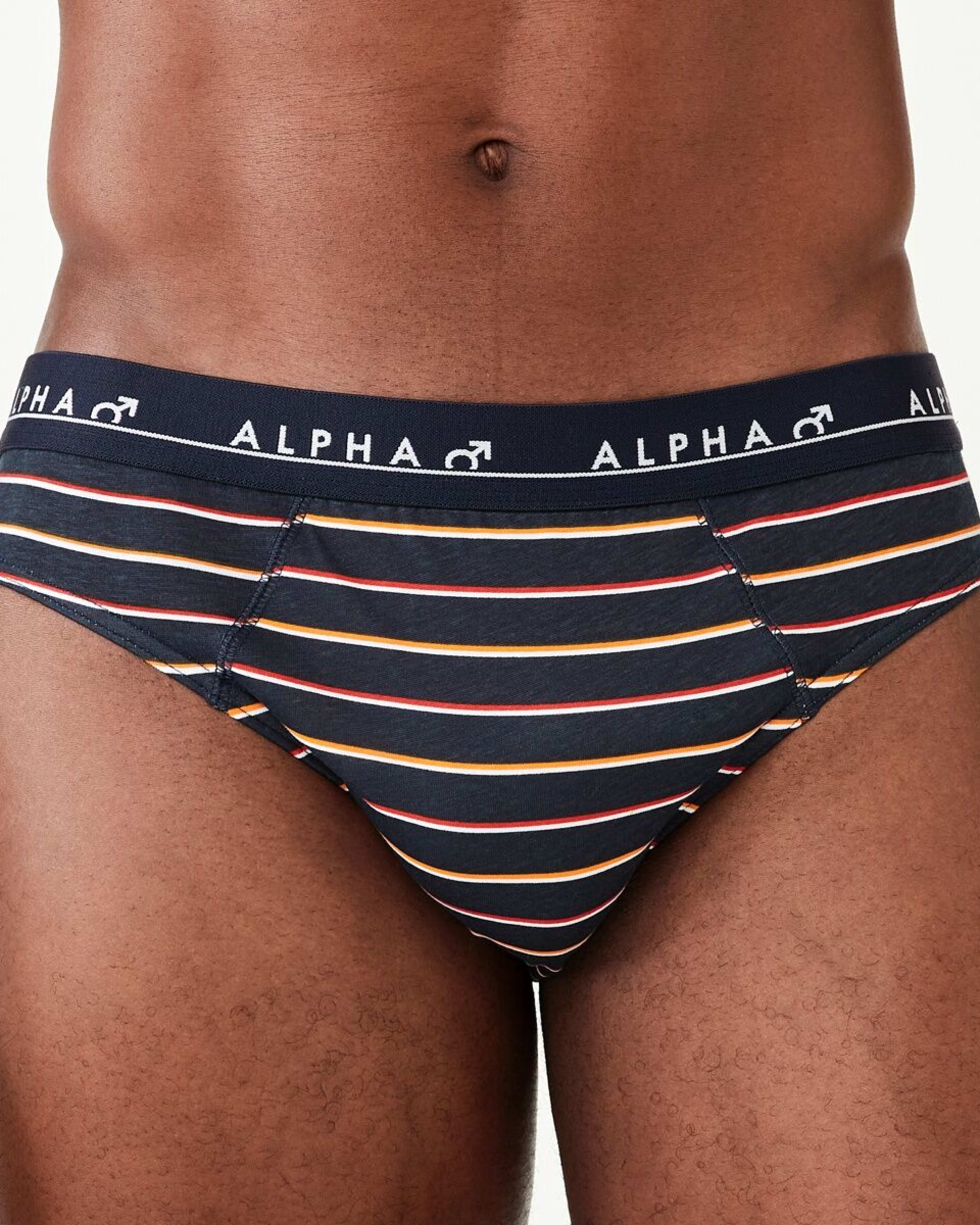 3 5 Pack Alpha Attached Elastic Hipster Briefs LIGHTSCAPE, 3 of 10