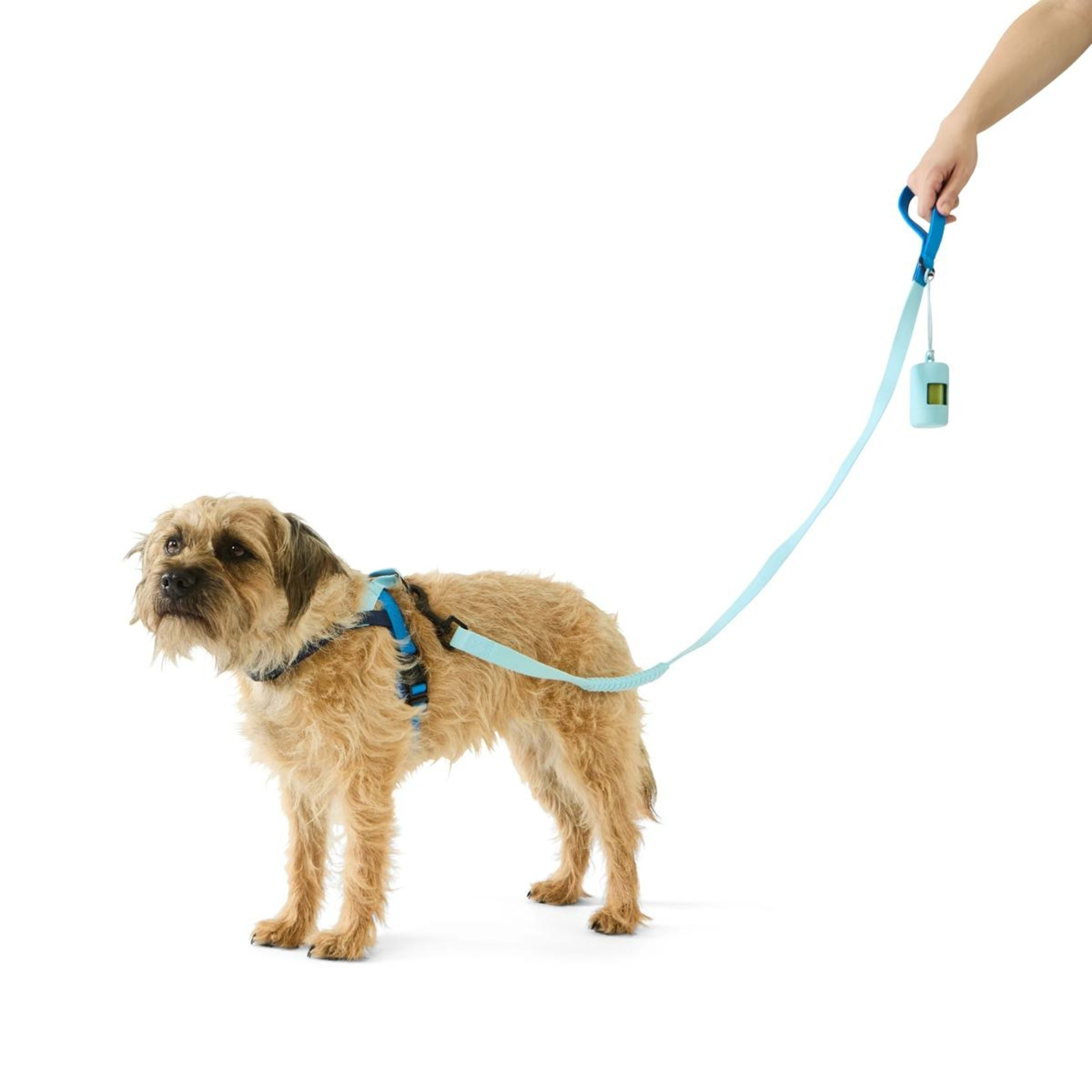 1 Pet Walking Set - Small, Blue
