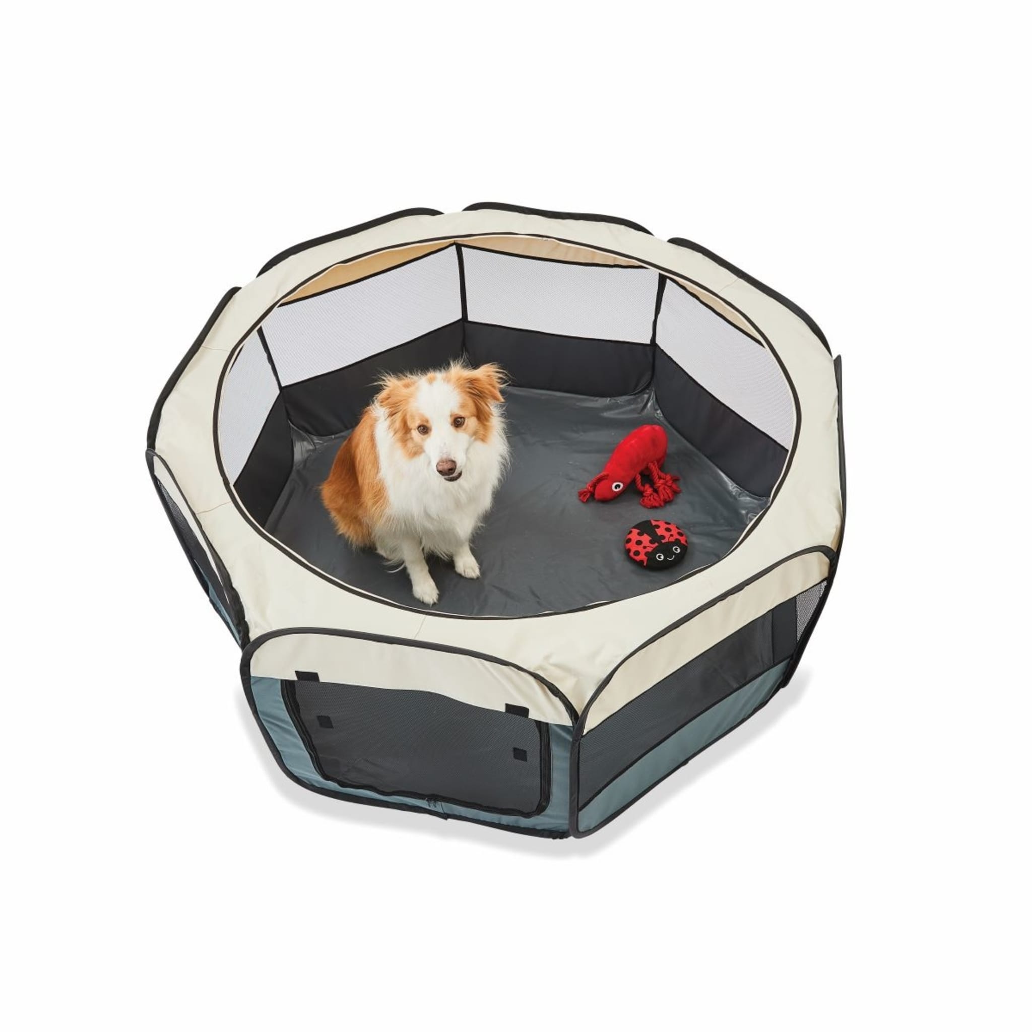 Foldable Pet Play Pen Extra Large Kmart