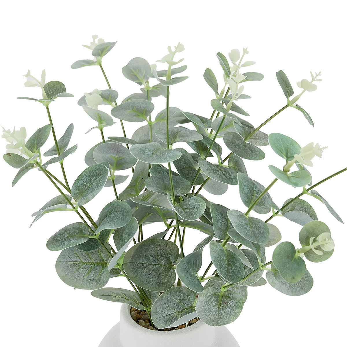 Artificial Eucalyptus Stems In Vase Kmart   9f059b95 33d9 4fa7 B2f8 6d8b27fcd076 