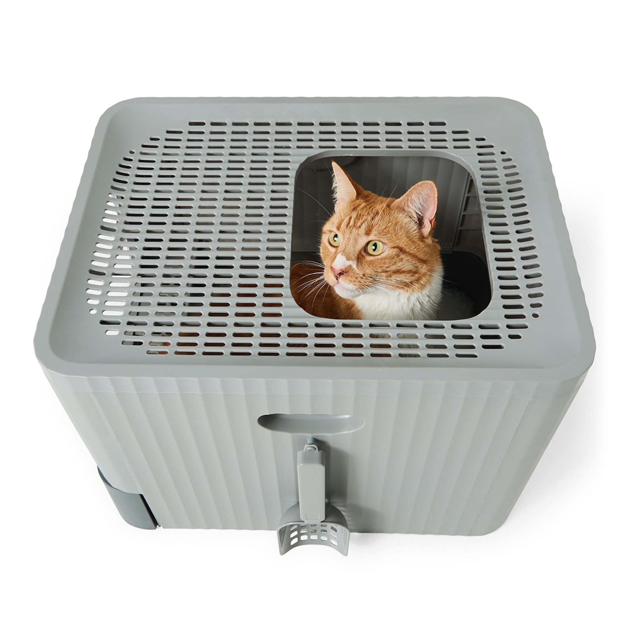 Cat Litter Box Dual Entry Kmart