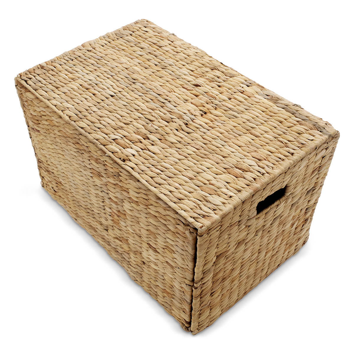 Collapsible Trunk Kmart