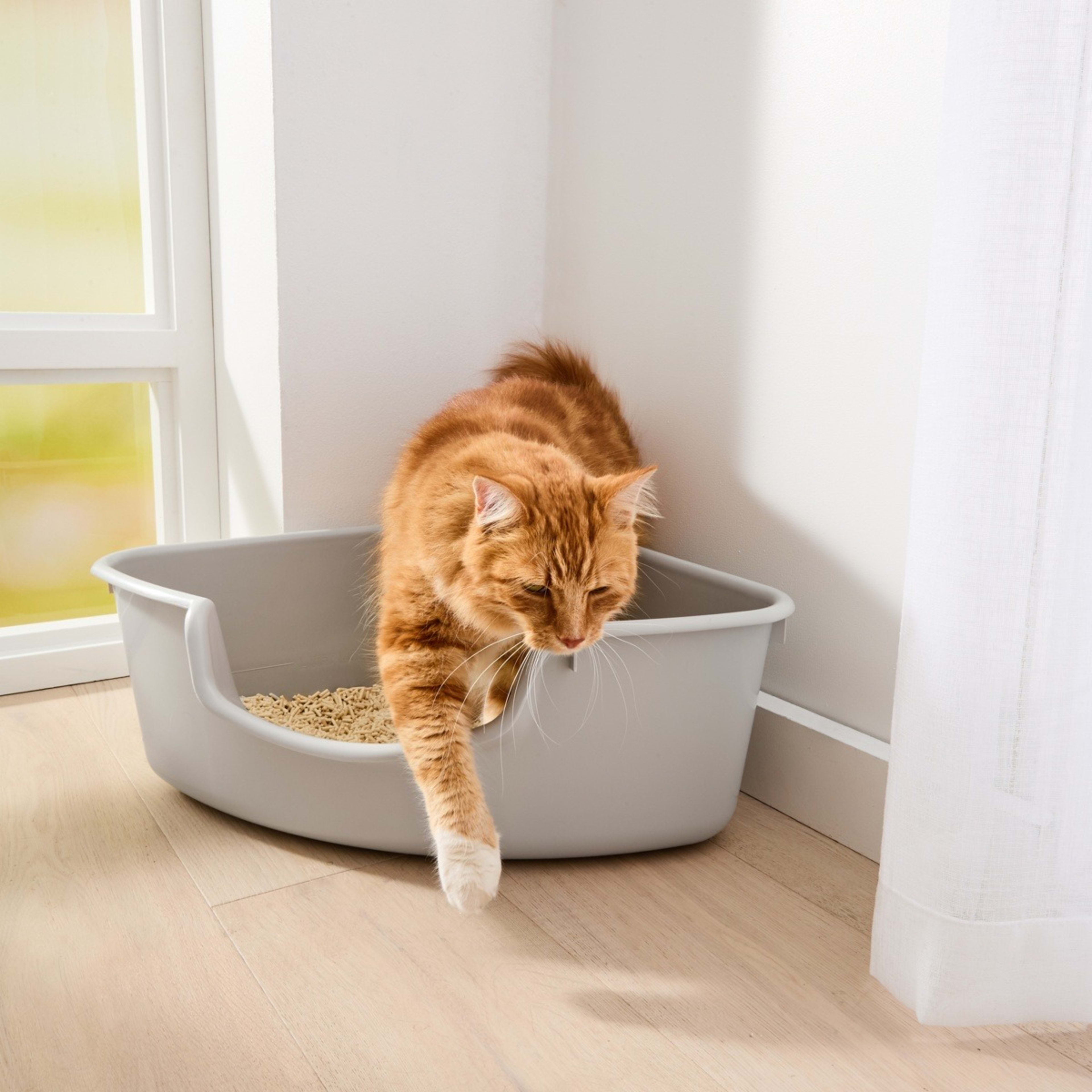 1 Cat Litter Tray Corner, 1 of 7
