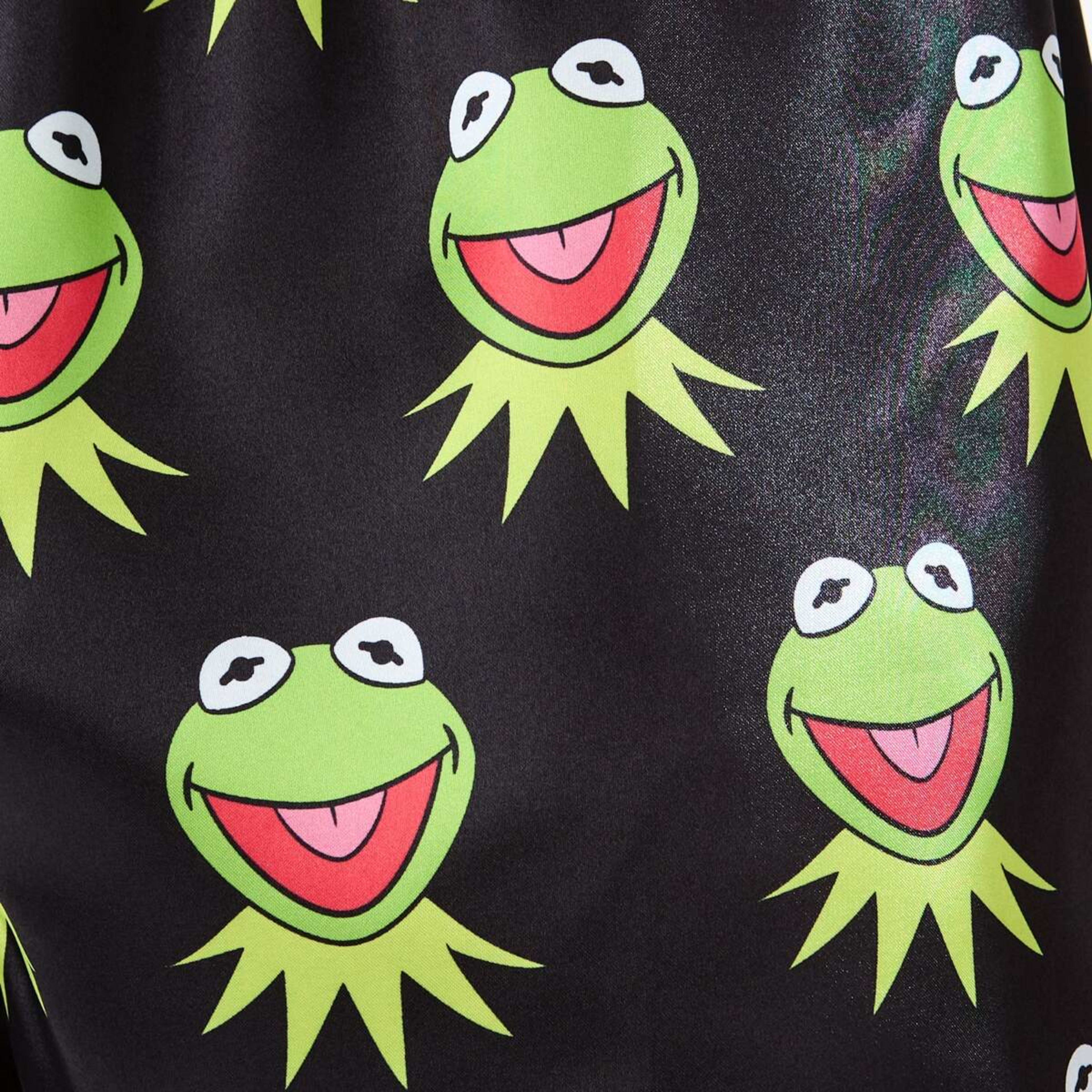 5 Kermit License Satin Boxers Kermit, 5 of 6