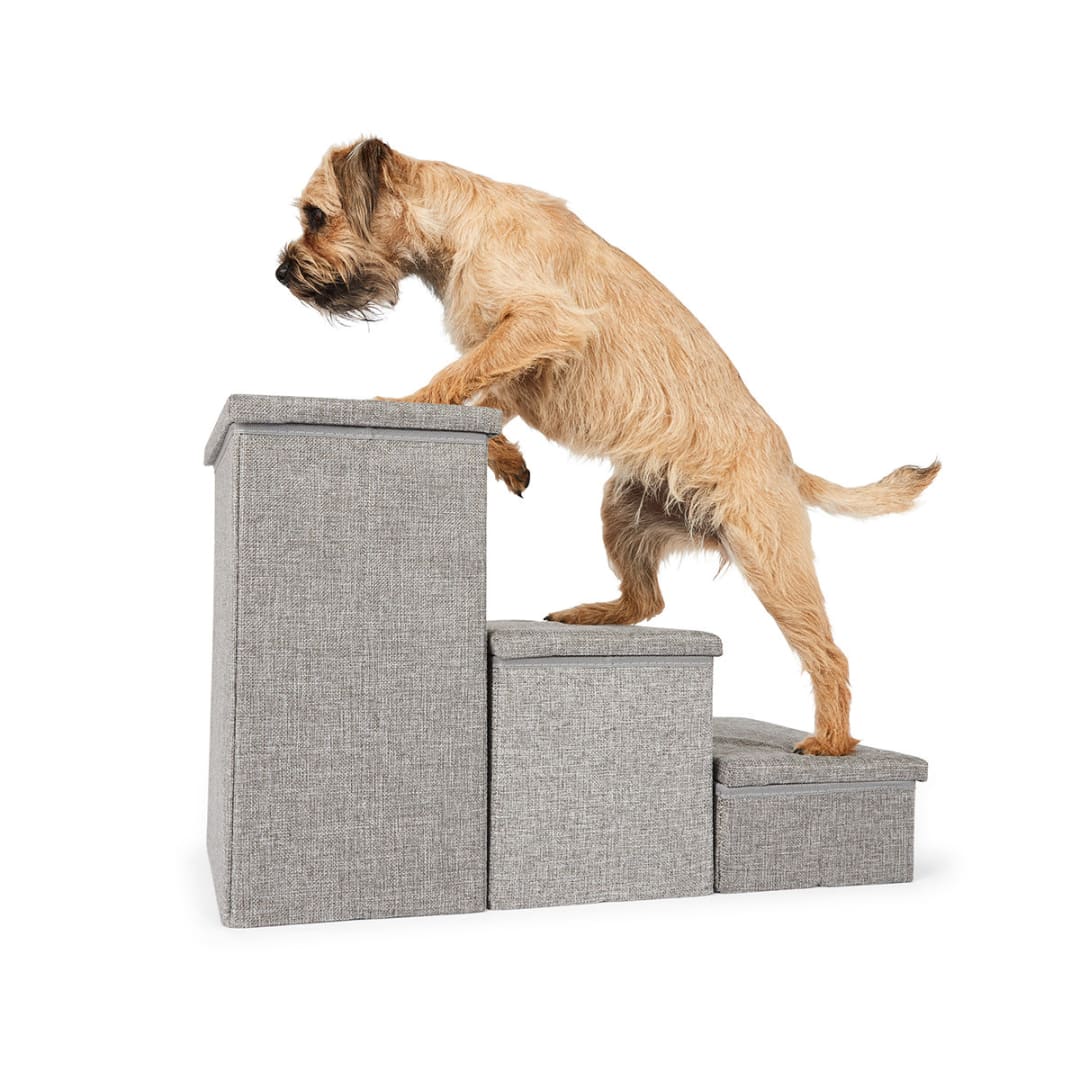 Pet Collapsible Storage Steps Kmart
