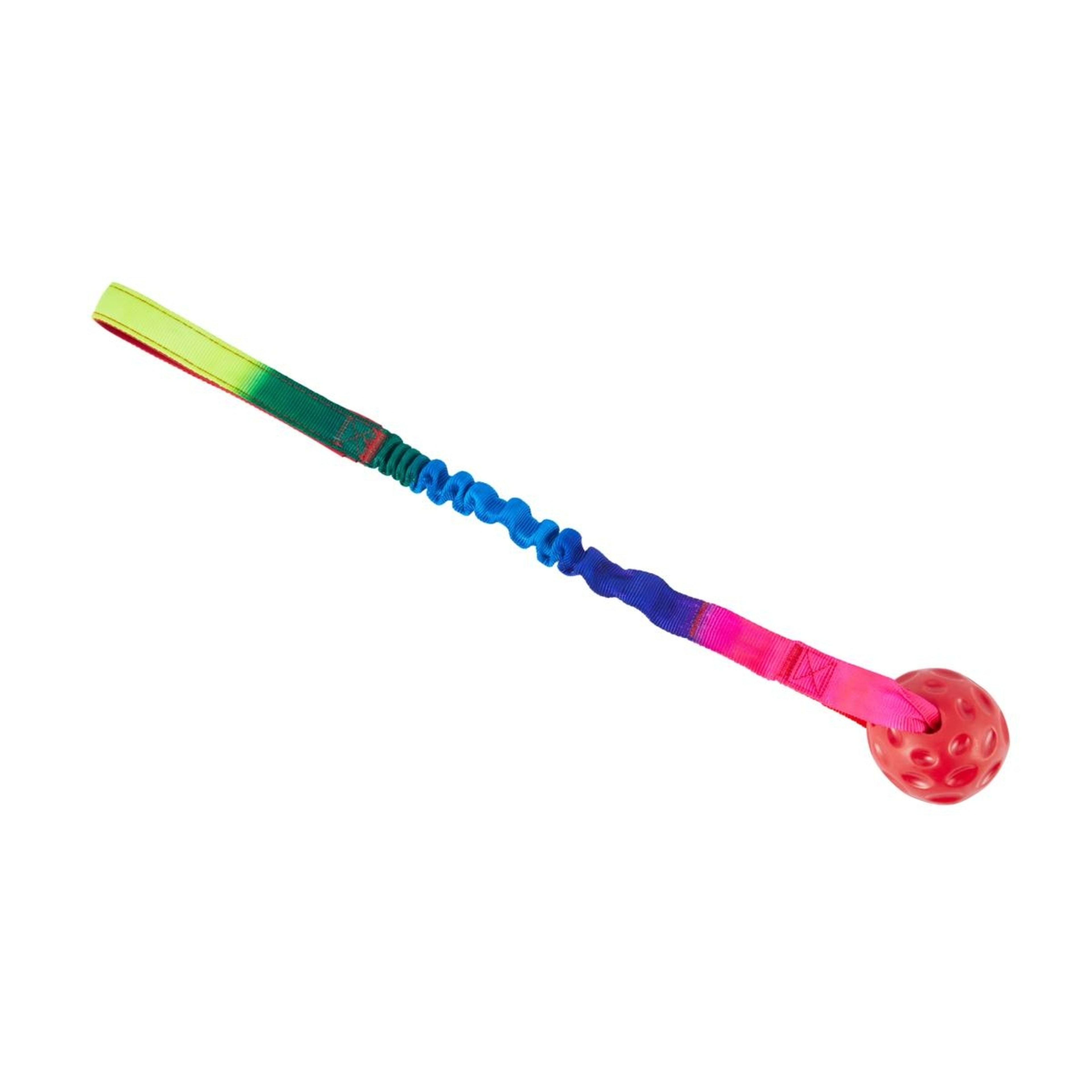 1 Pet Toy Bungee Ball with Handle