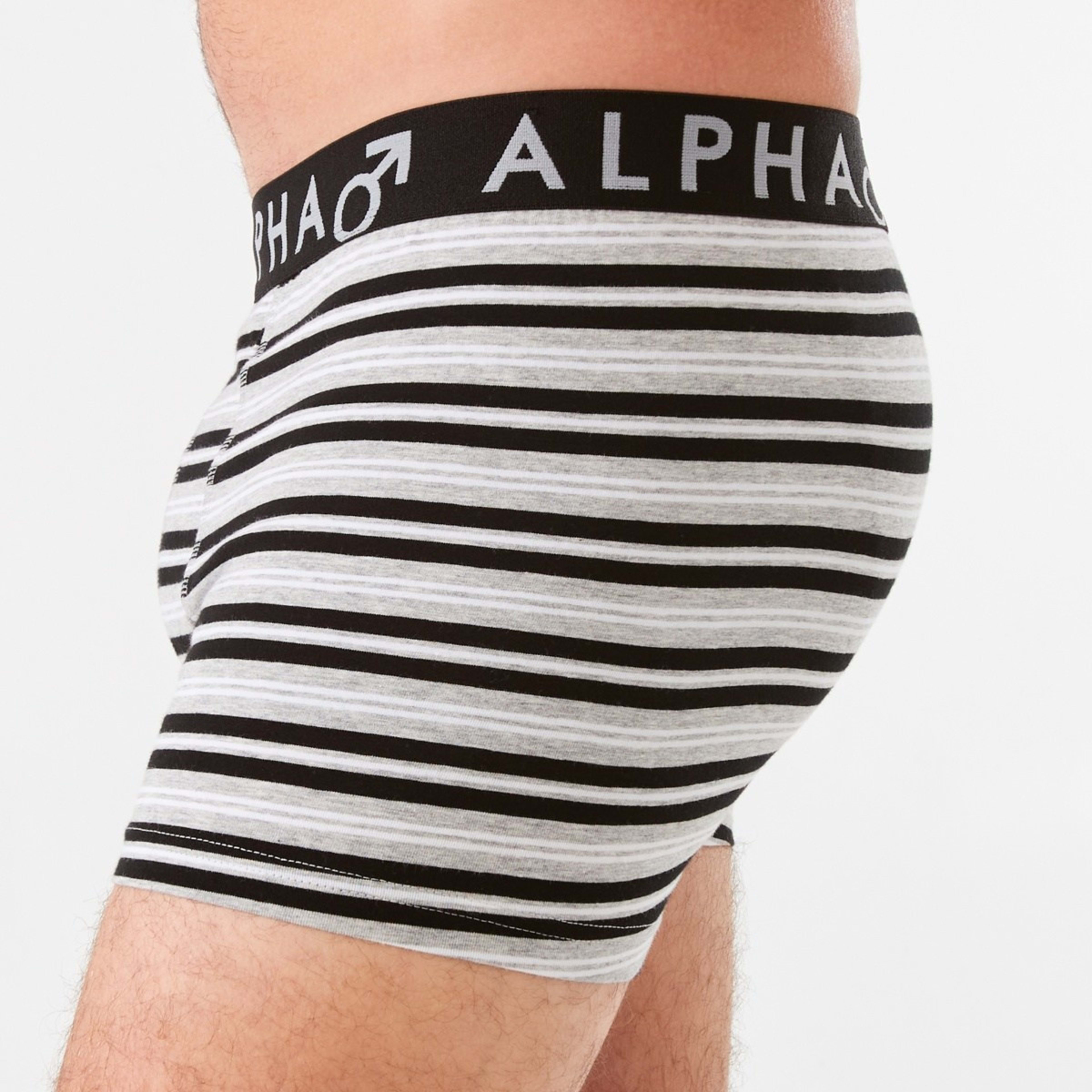 5 3 Pack Fly Front Stripe Trunks Speedster Stripe, 5 of 8