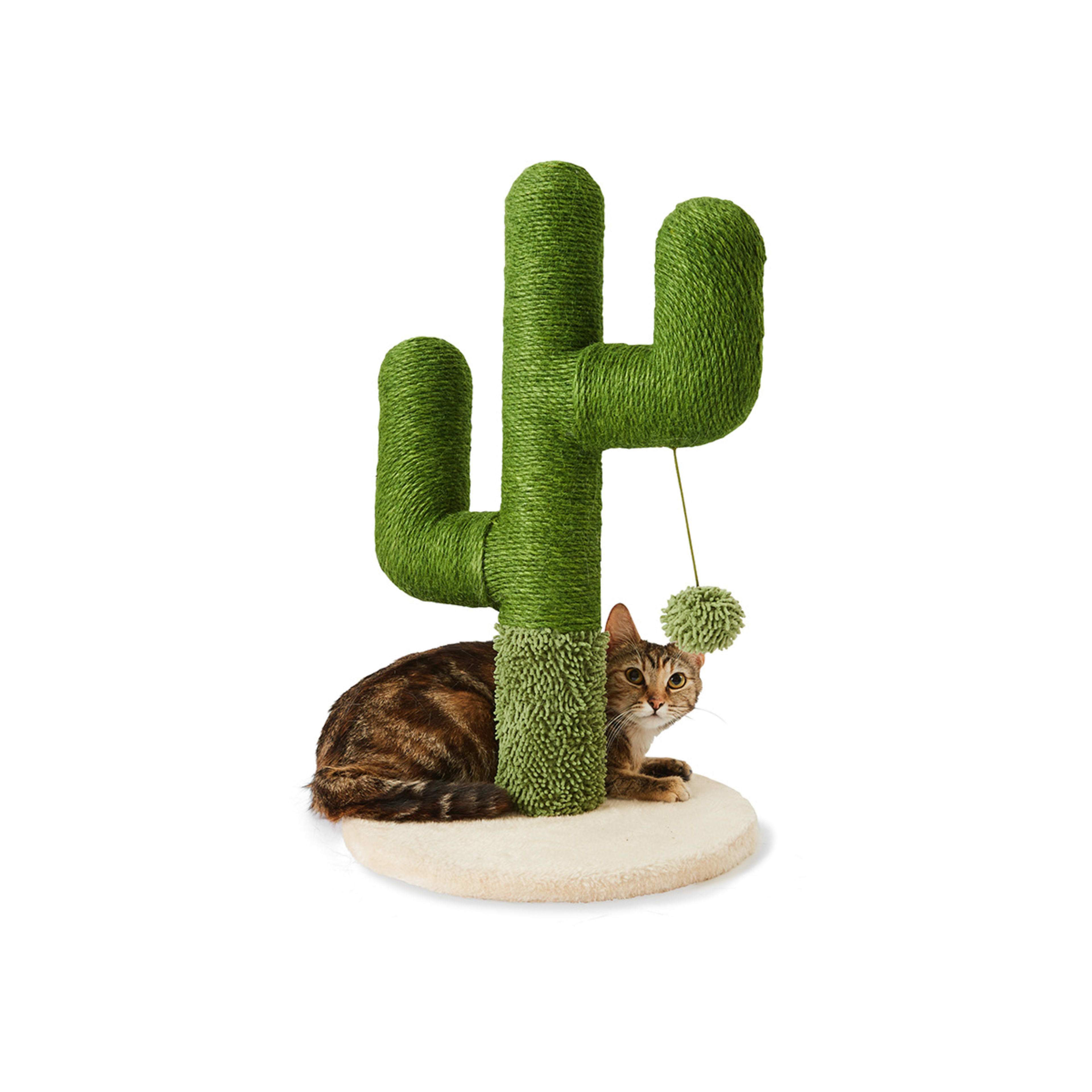 Cat Scratcher Cactus Kmart