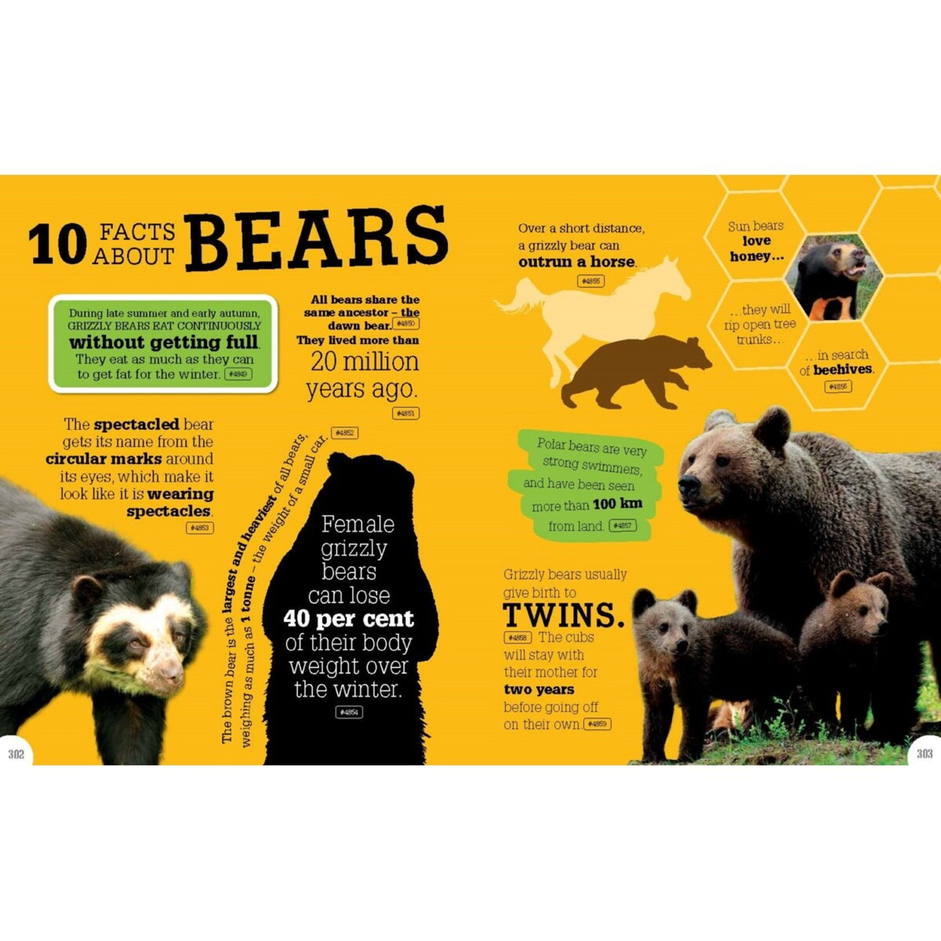 2 5000 Amazing Facts: Incredible But True Facts About Everything! - Book, 2 of 4