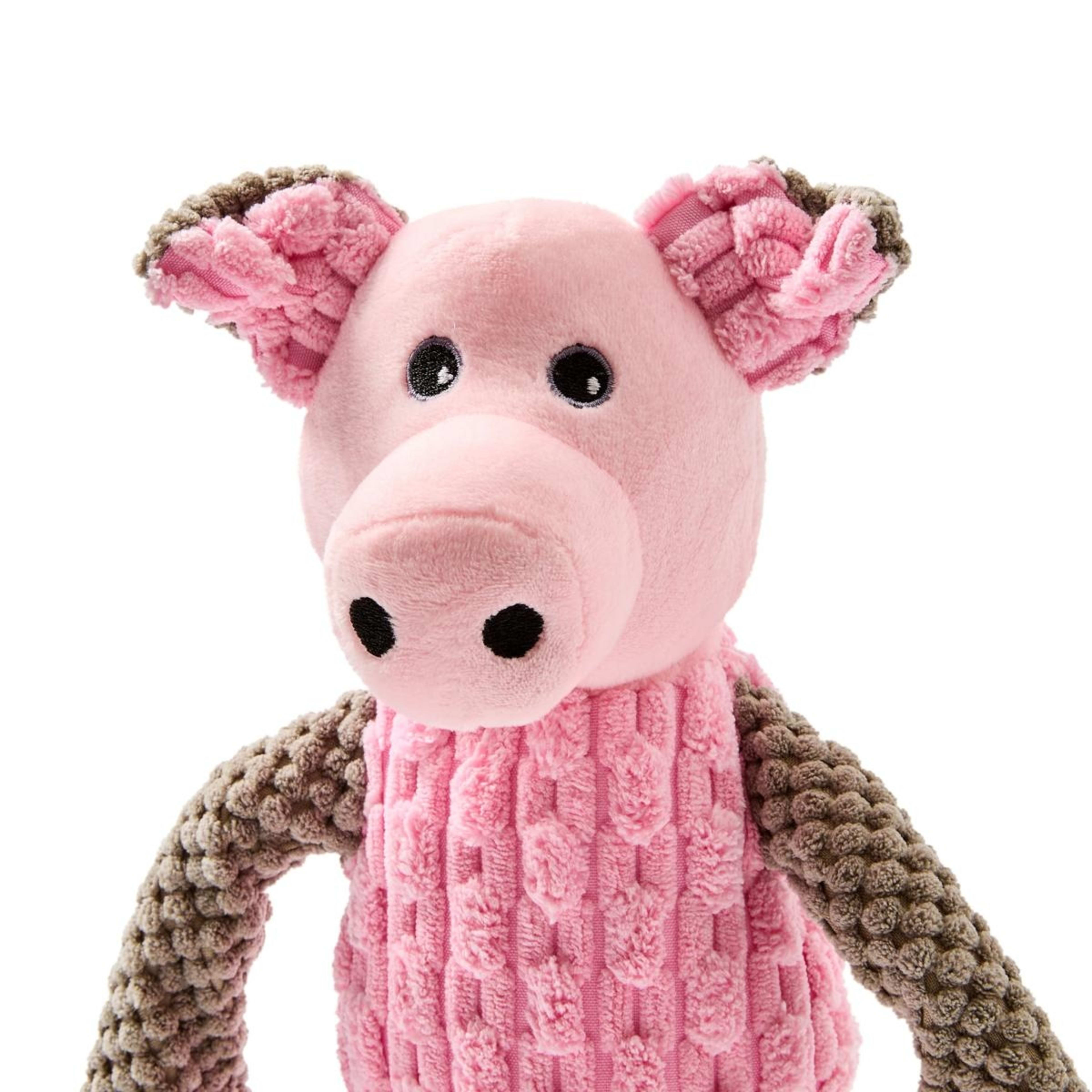 5 Pet Plush Floppy Knots - Pig, 5 of 8