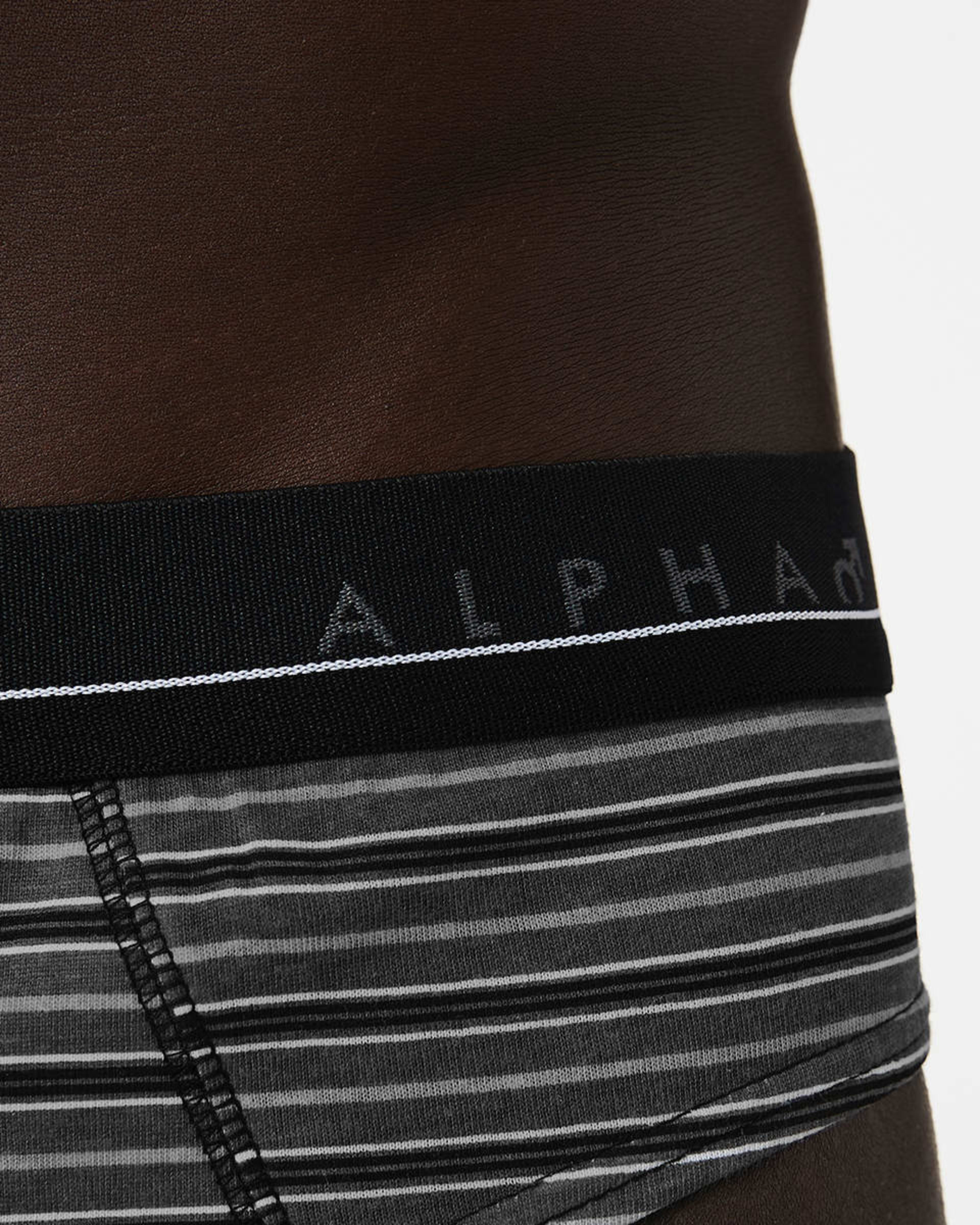 9 5 Pack Alpha Attached Elastic Hipster Briefs Blkgrystrp, 9 of 10