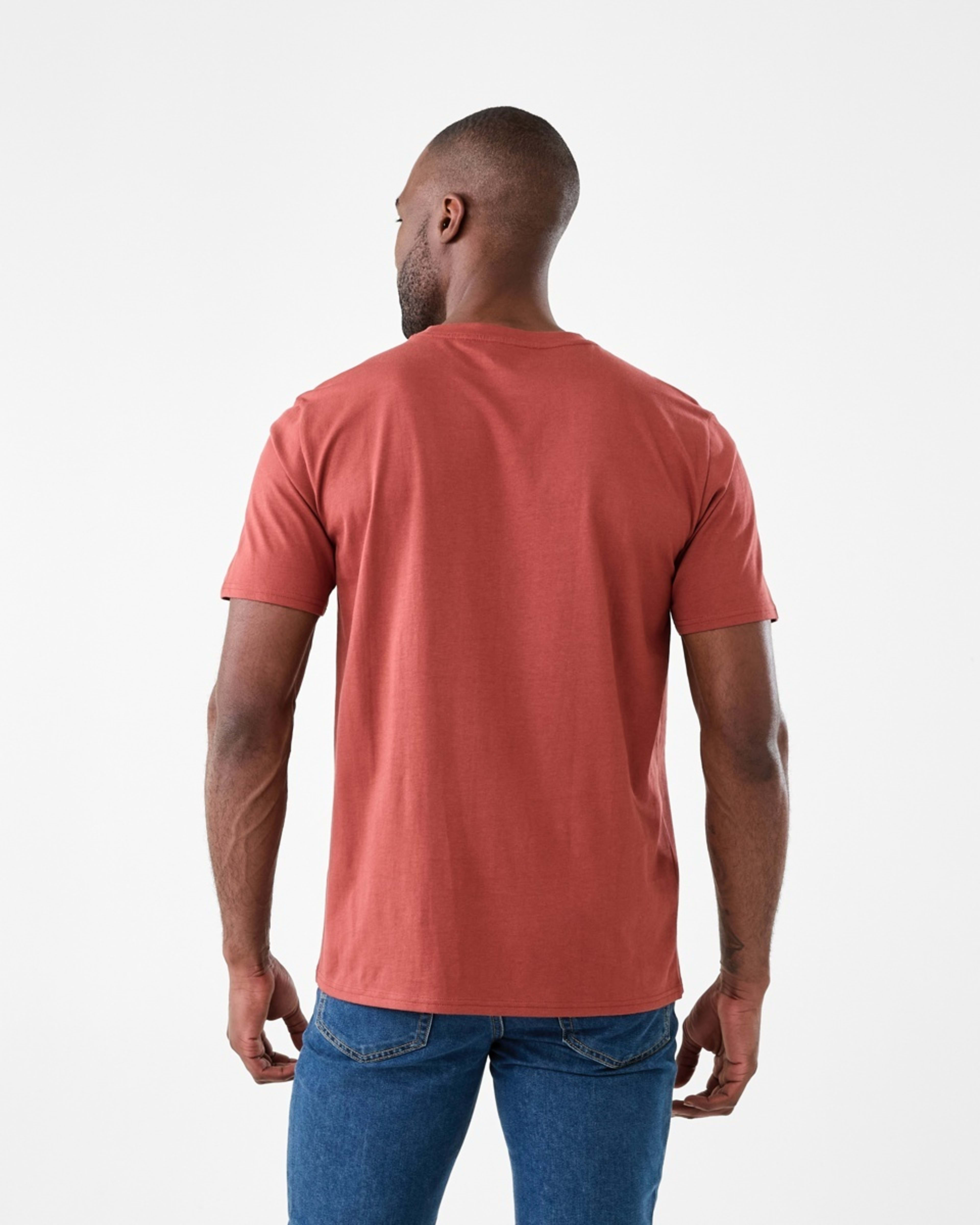 3 Print T-shirt Red Nutmeg, 3 of 5
