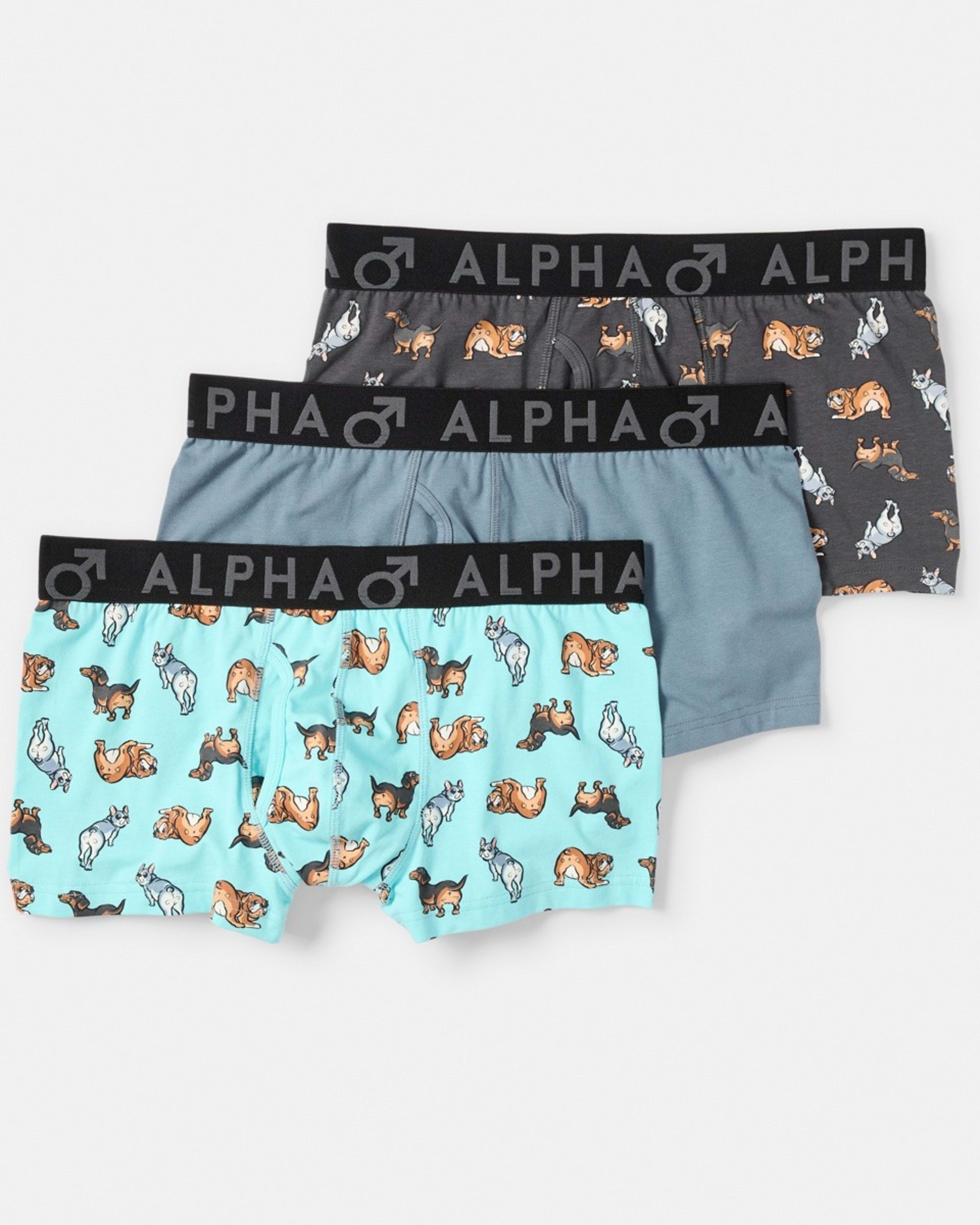 1 3 Pack Fly Front Print Trunks Hey Pups